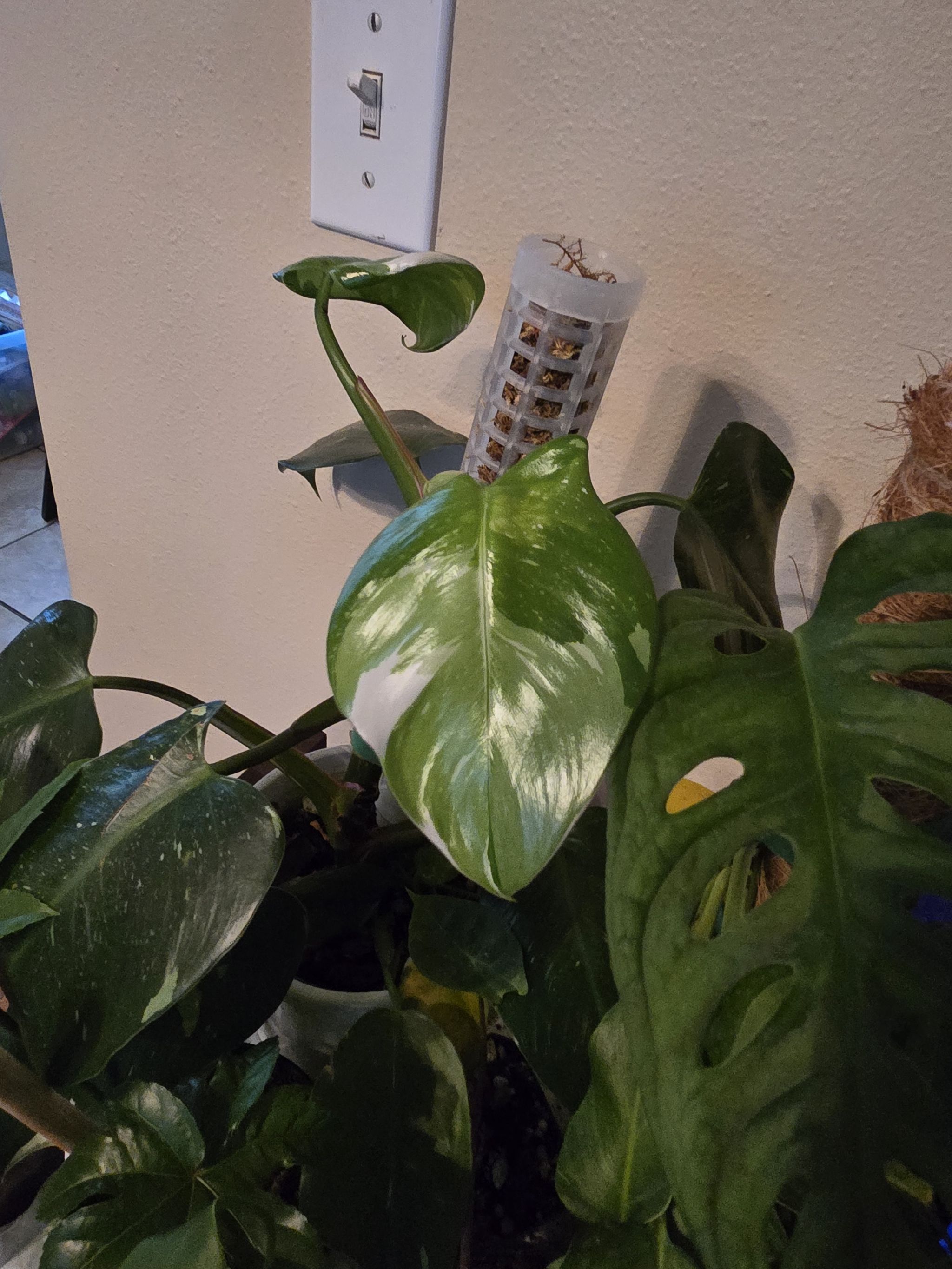 Photo from the post
