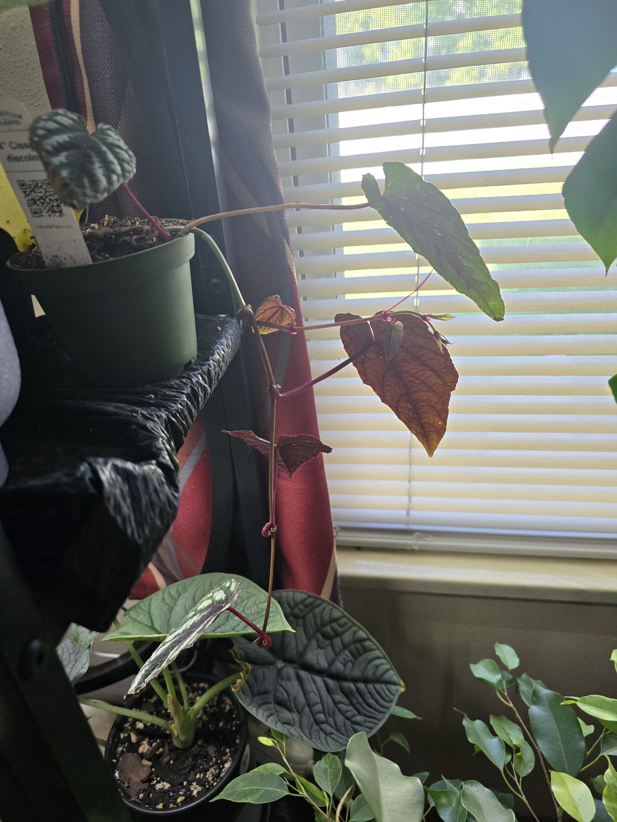Photo from the post