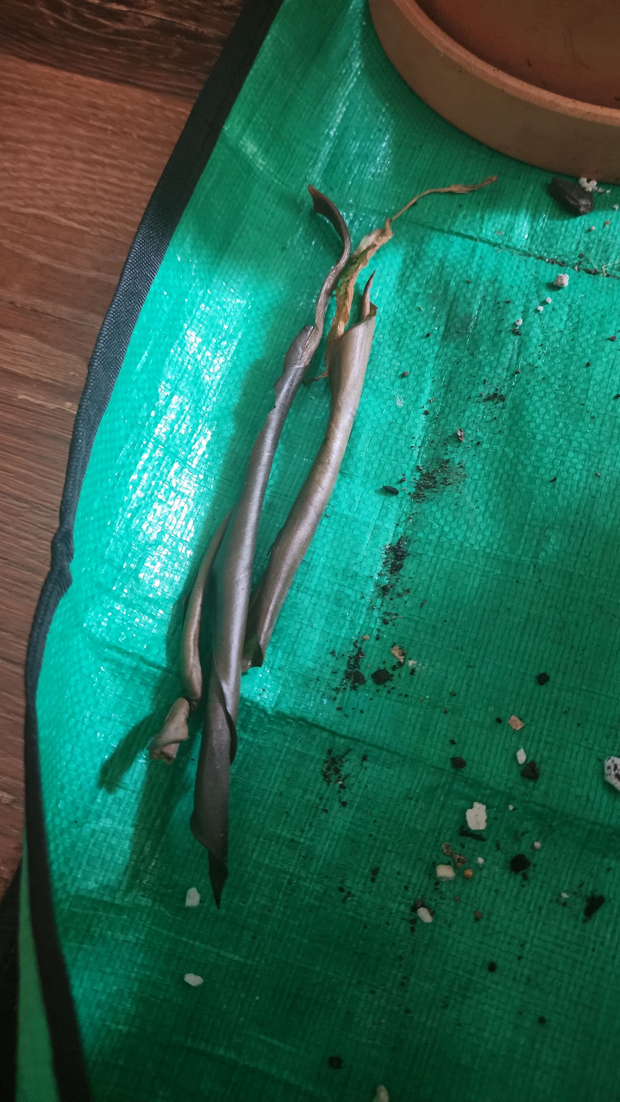 Photo from the post