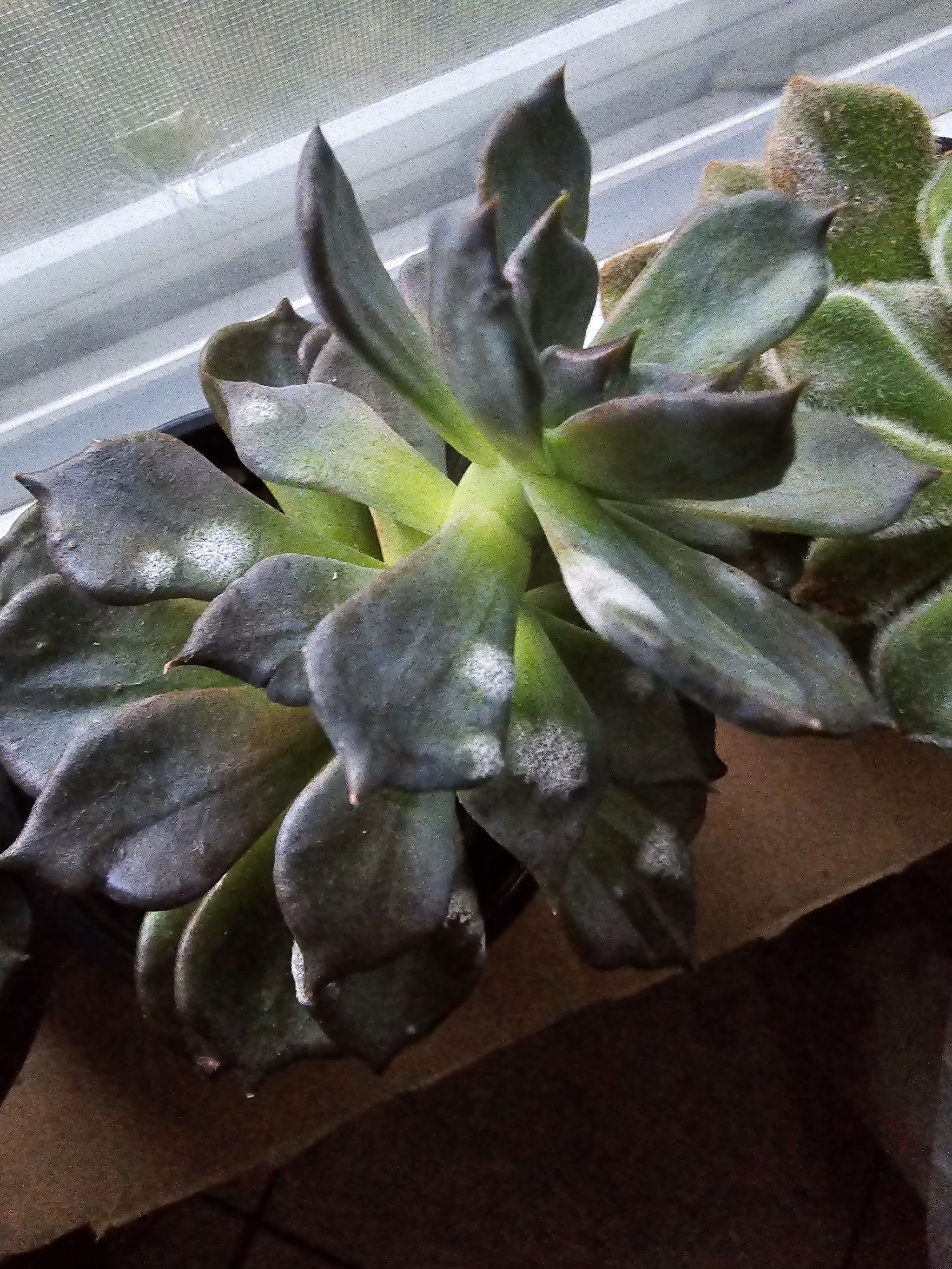 Photo from the post