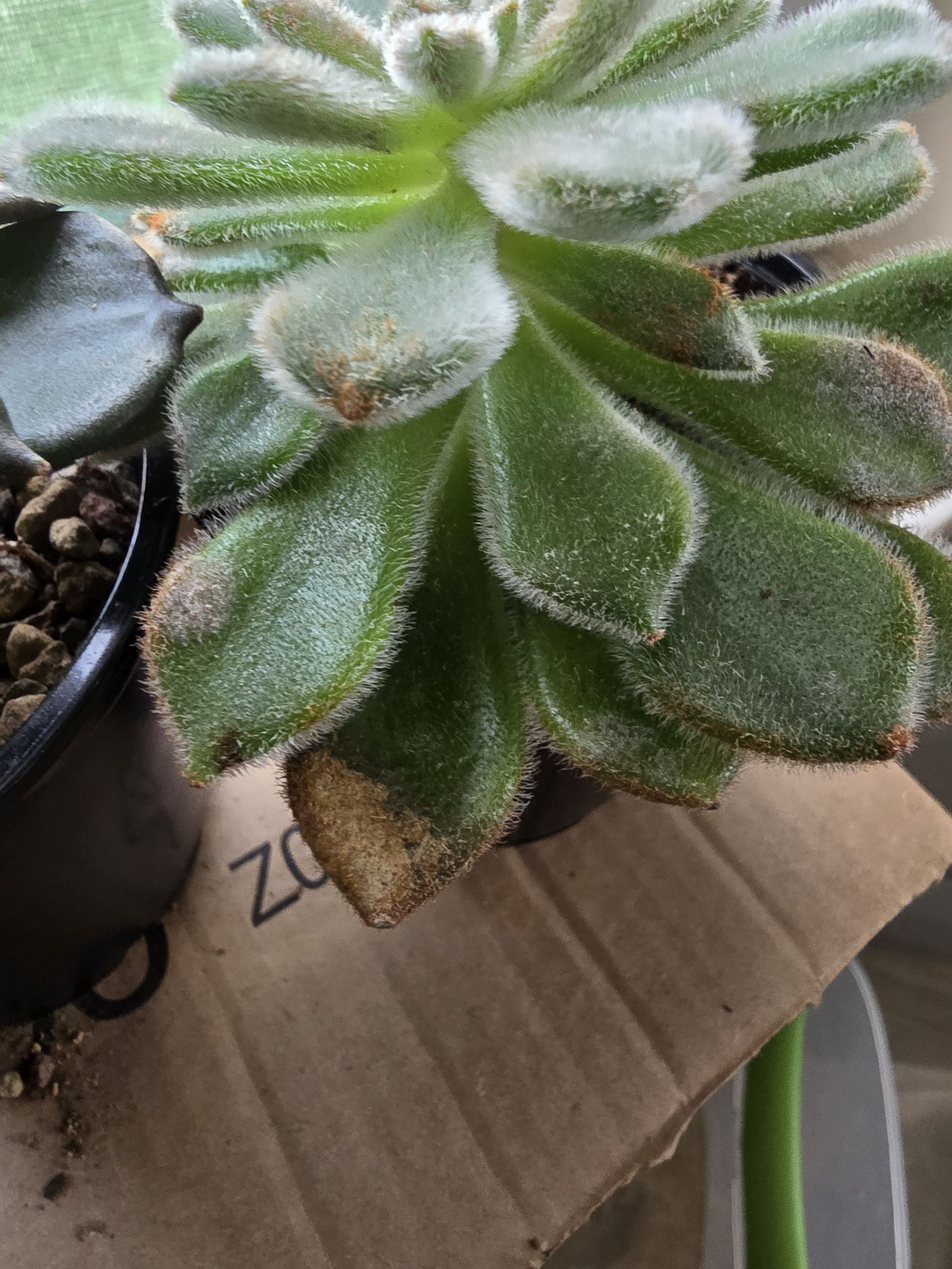 Photo from the post