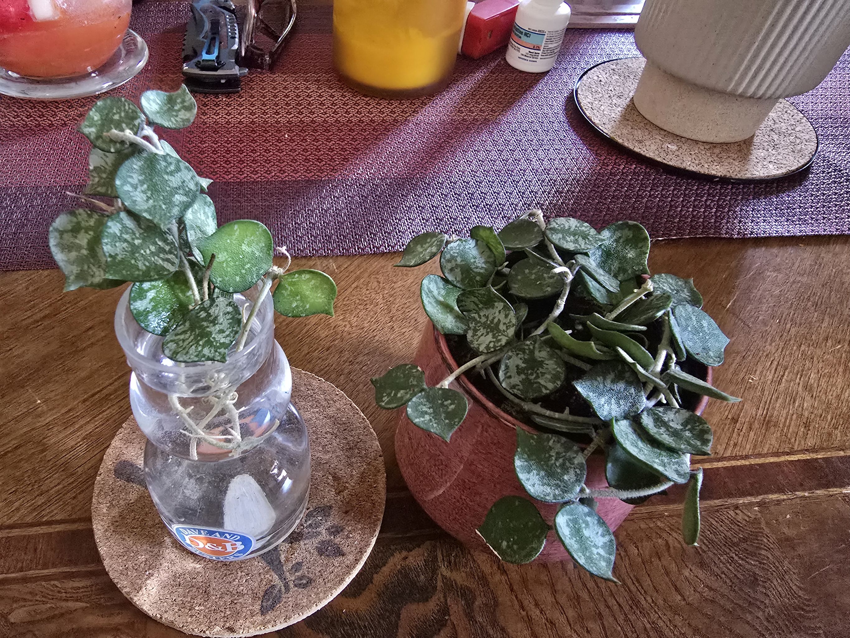 Photo from the post