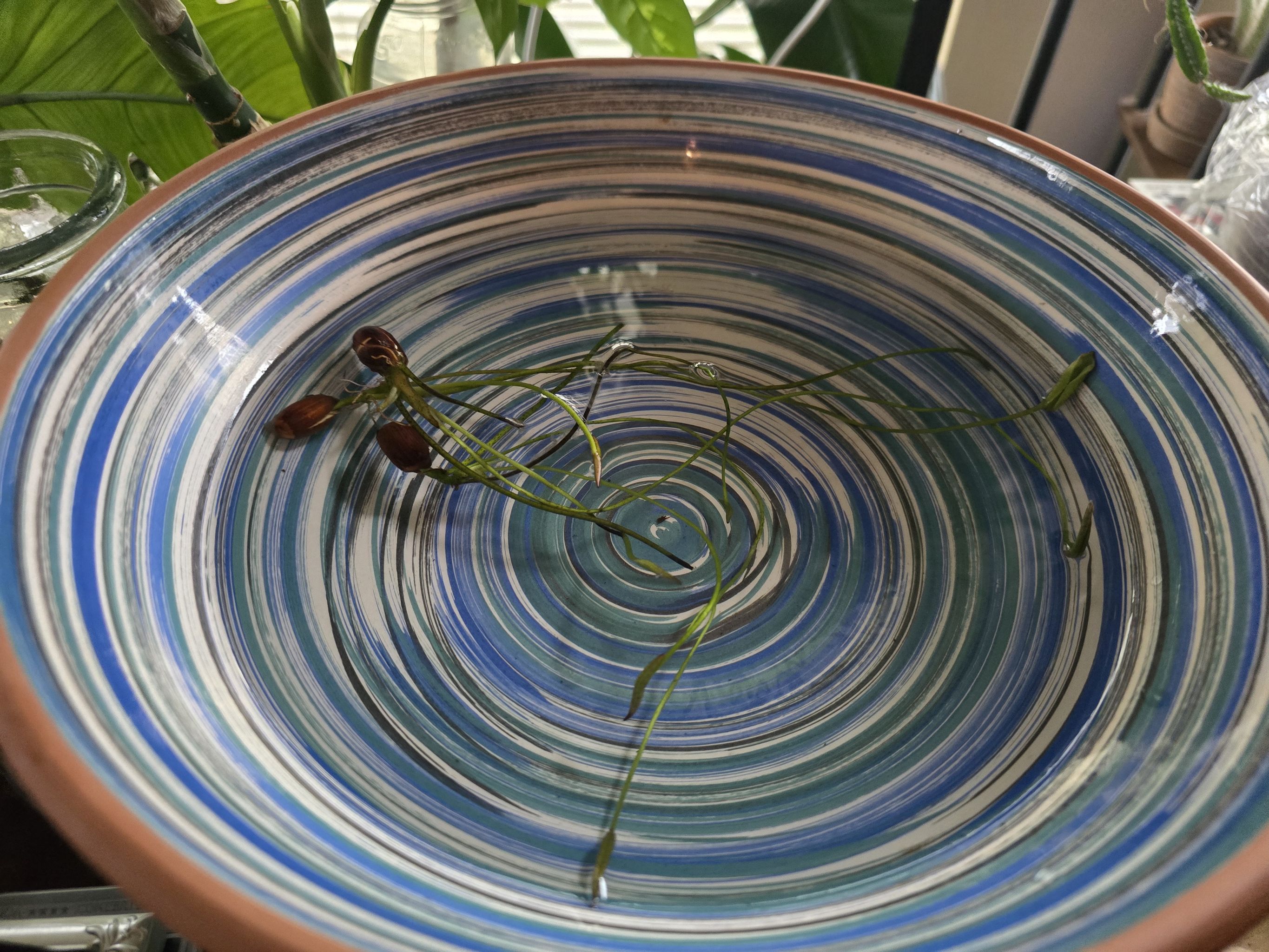 Photo from the post