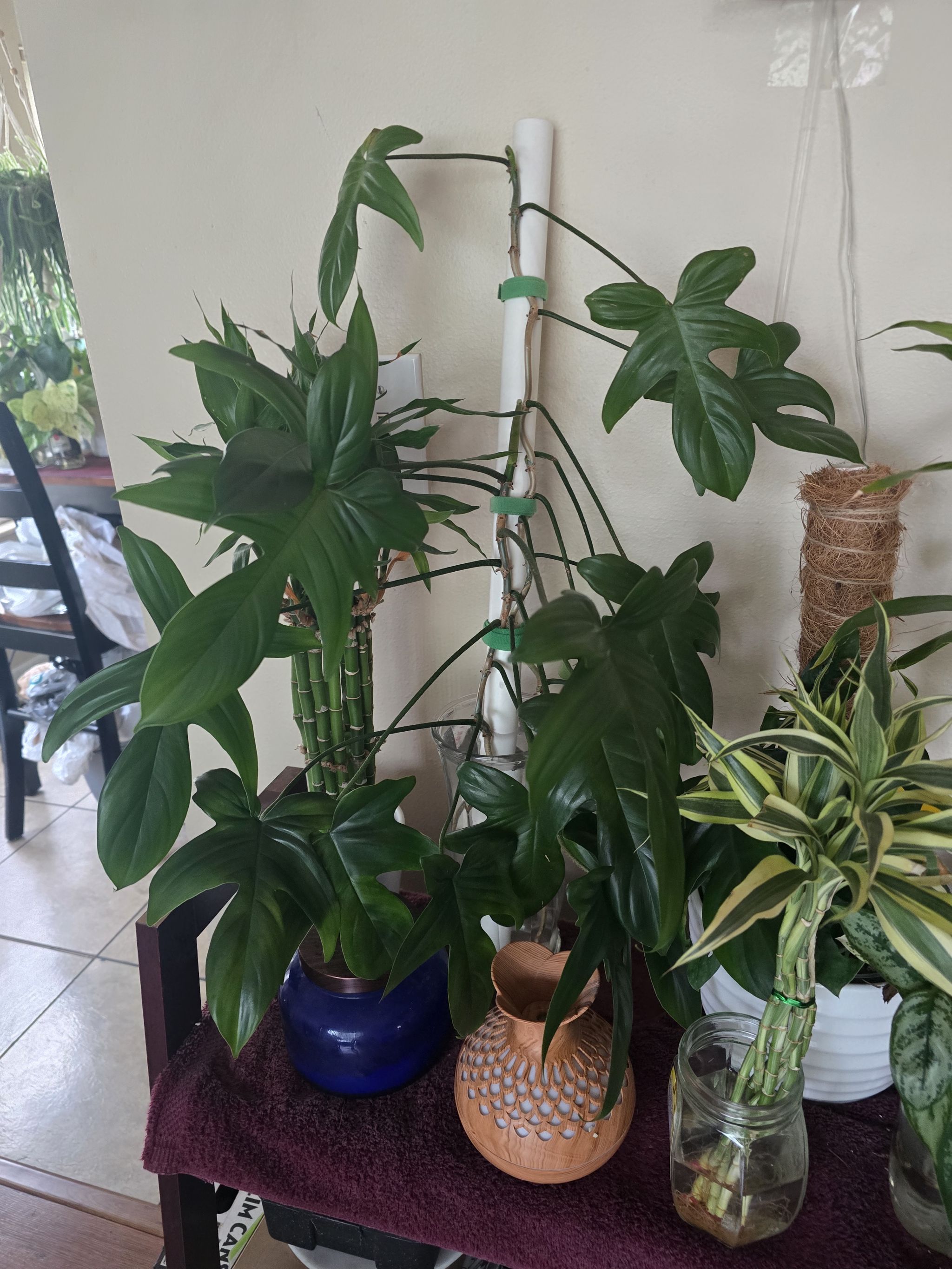 Photo from the post