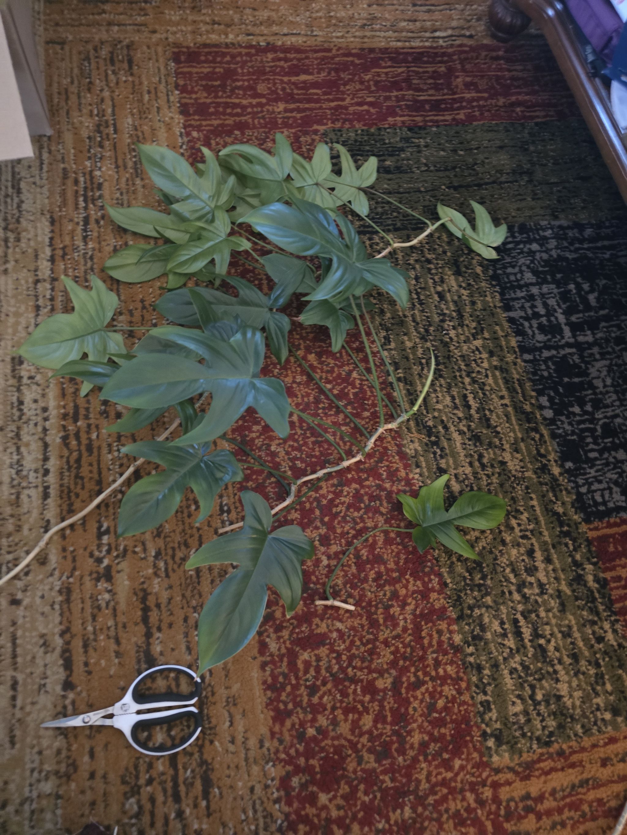 Photo from the post