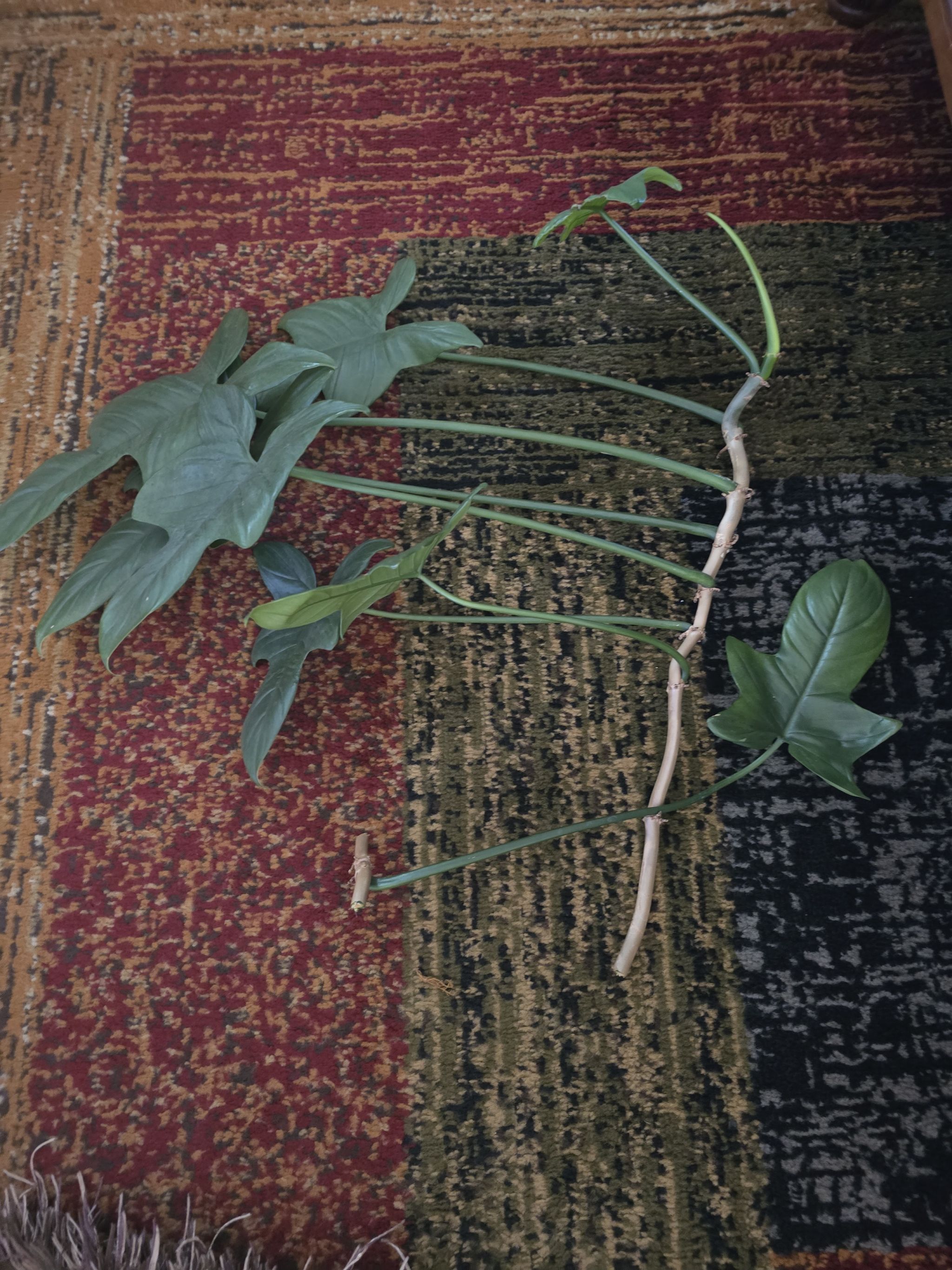 Photo from the post