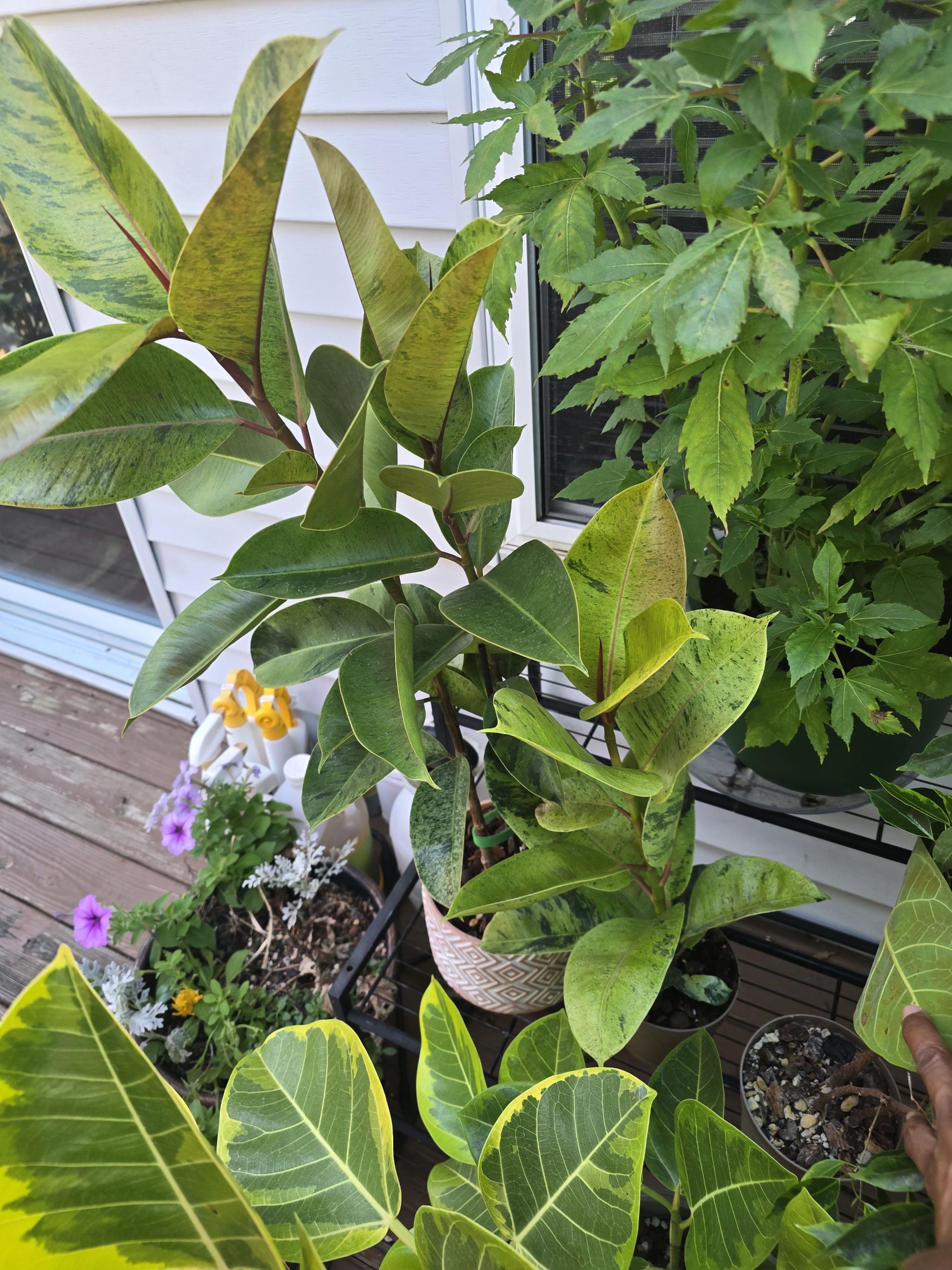 Photo from the post