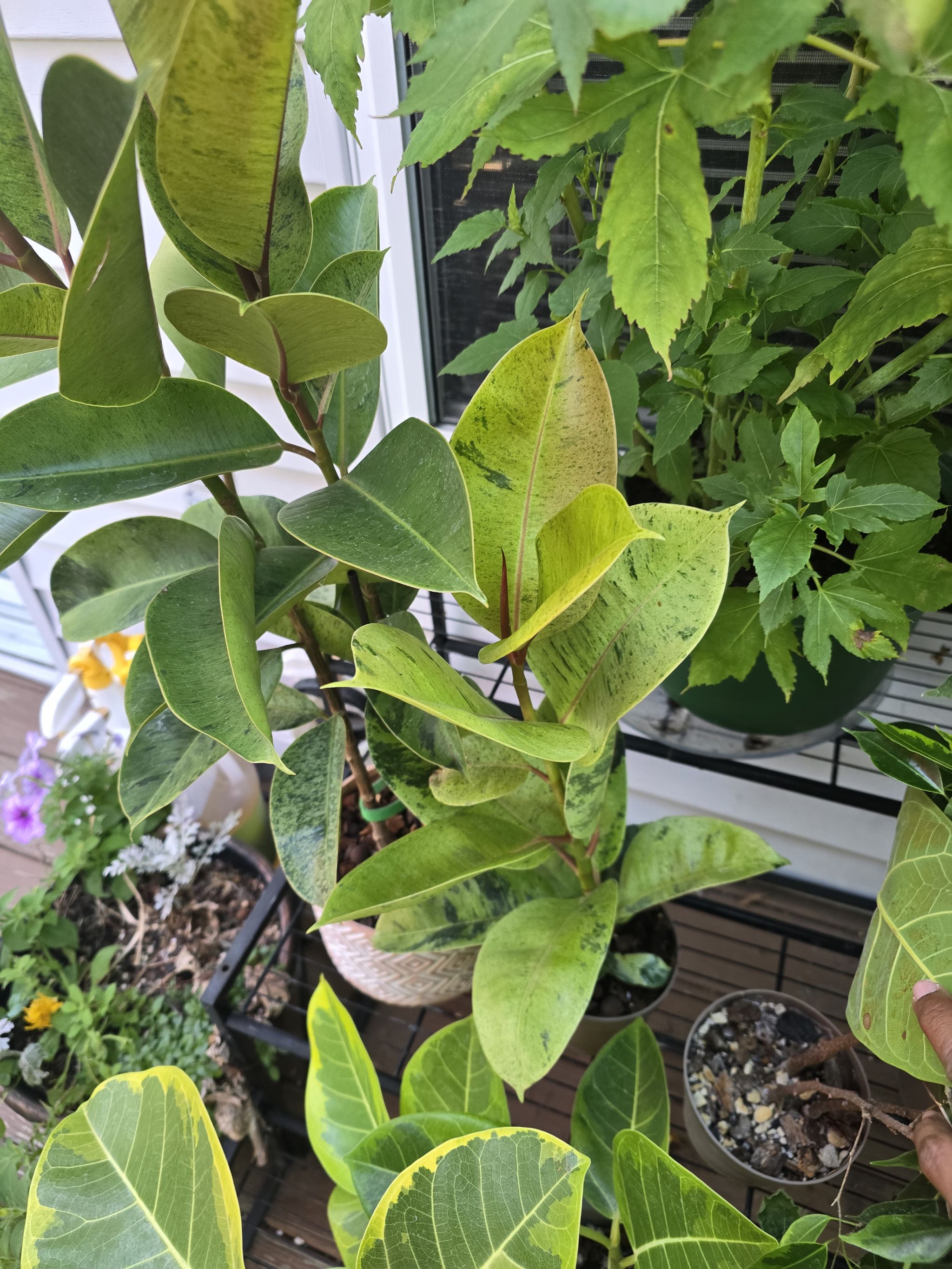 Photo from the post