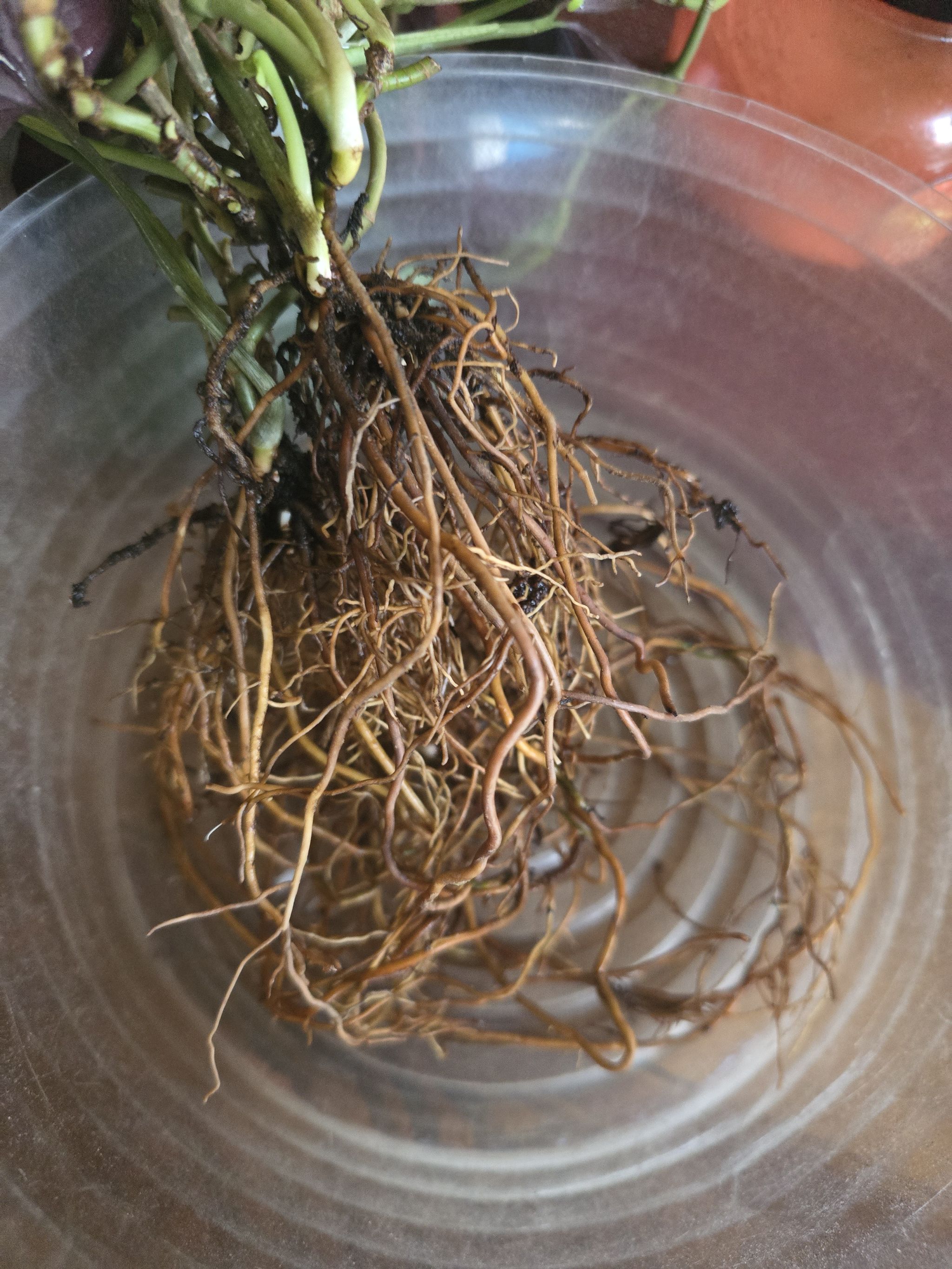 Photo from the post