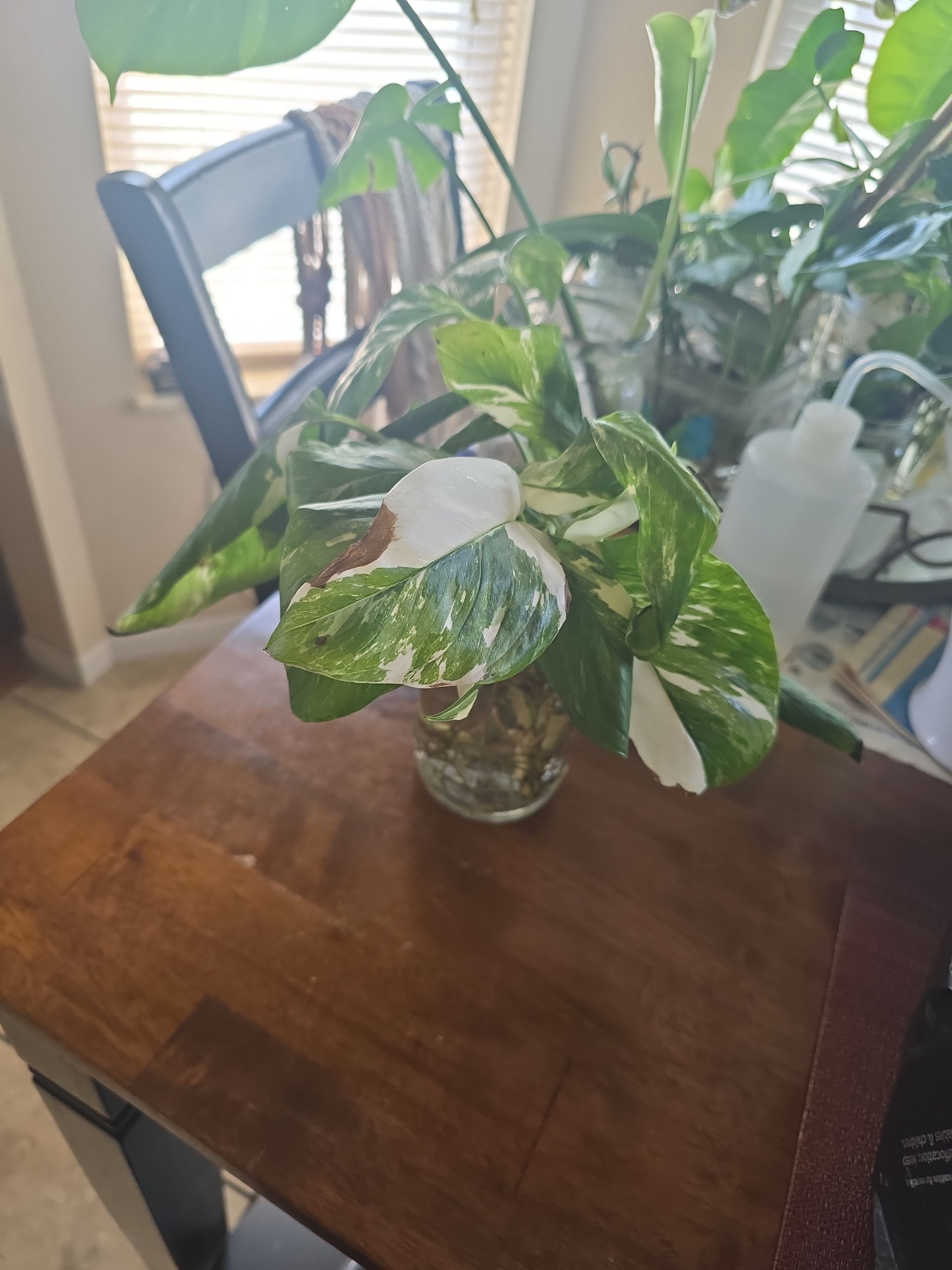 Photo from the post