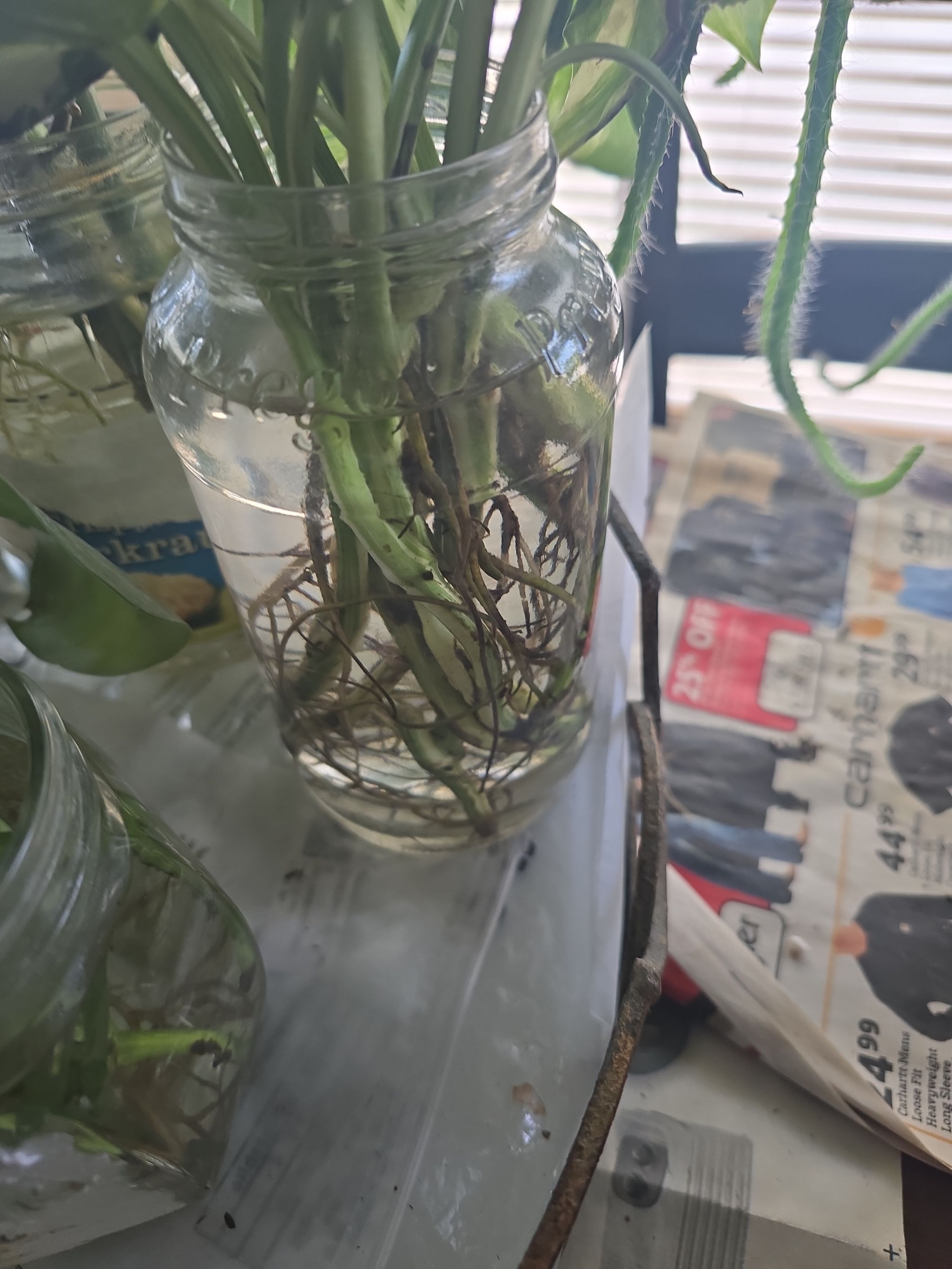 Photo from the post