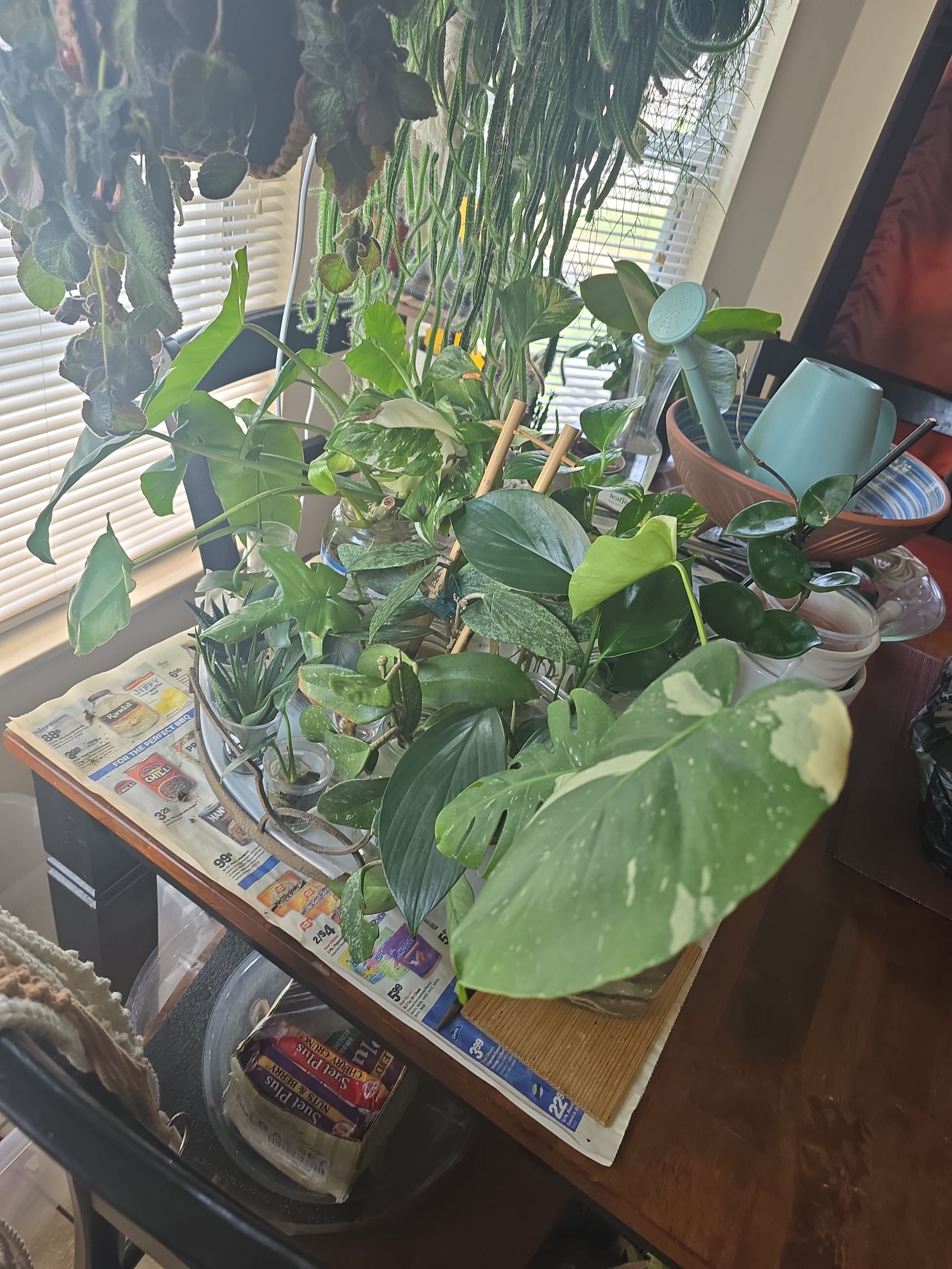Photo from the post