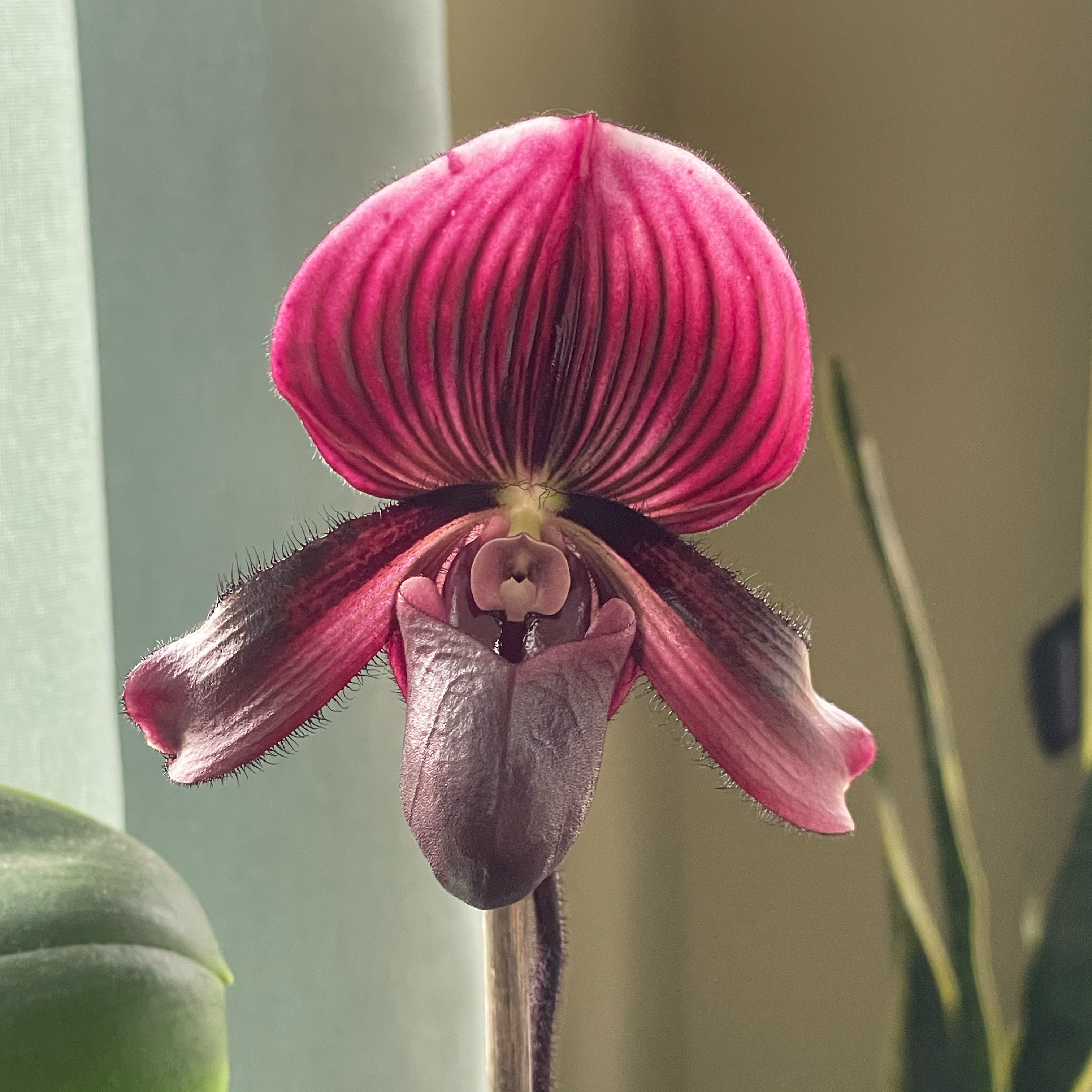 All Black Everything