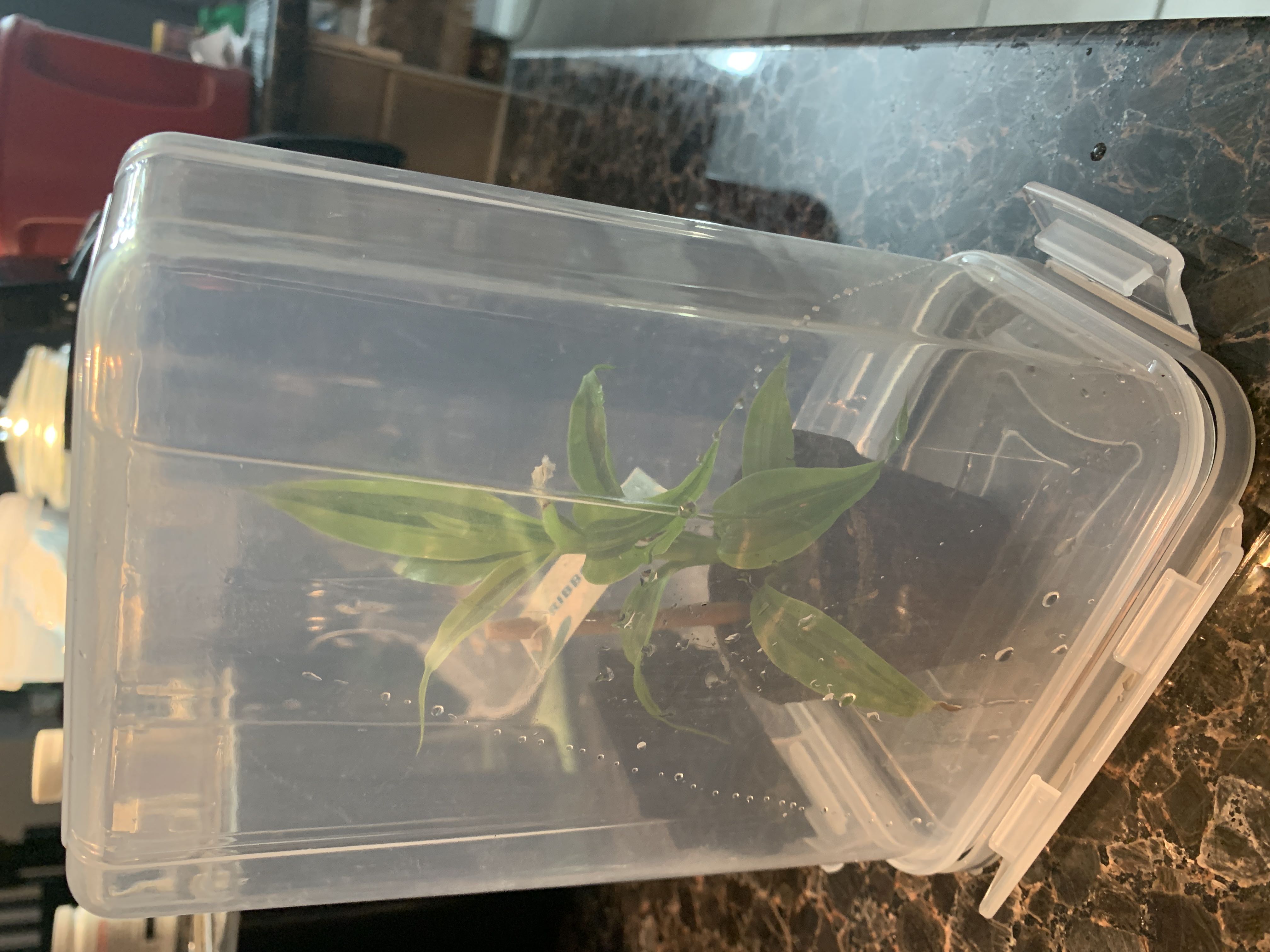 Photo from the post