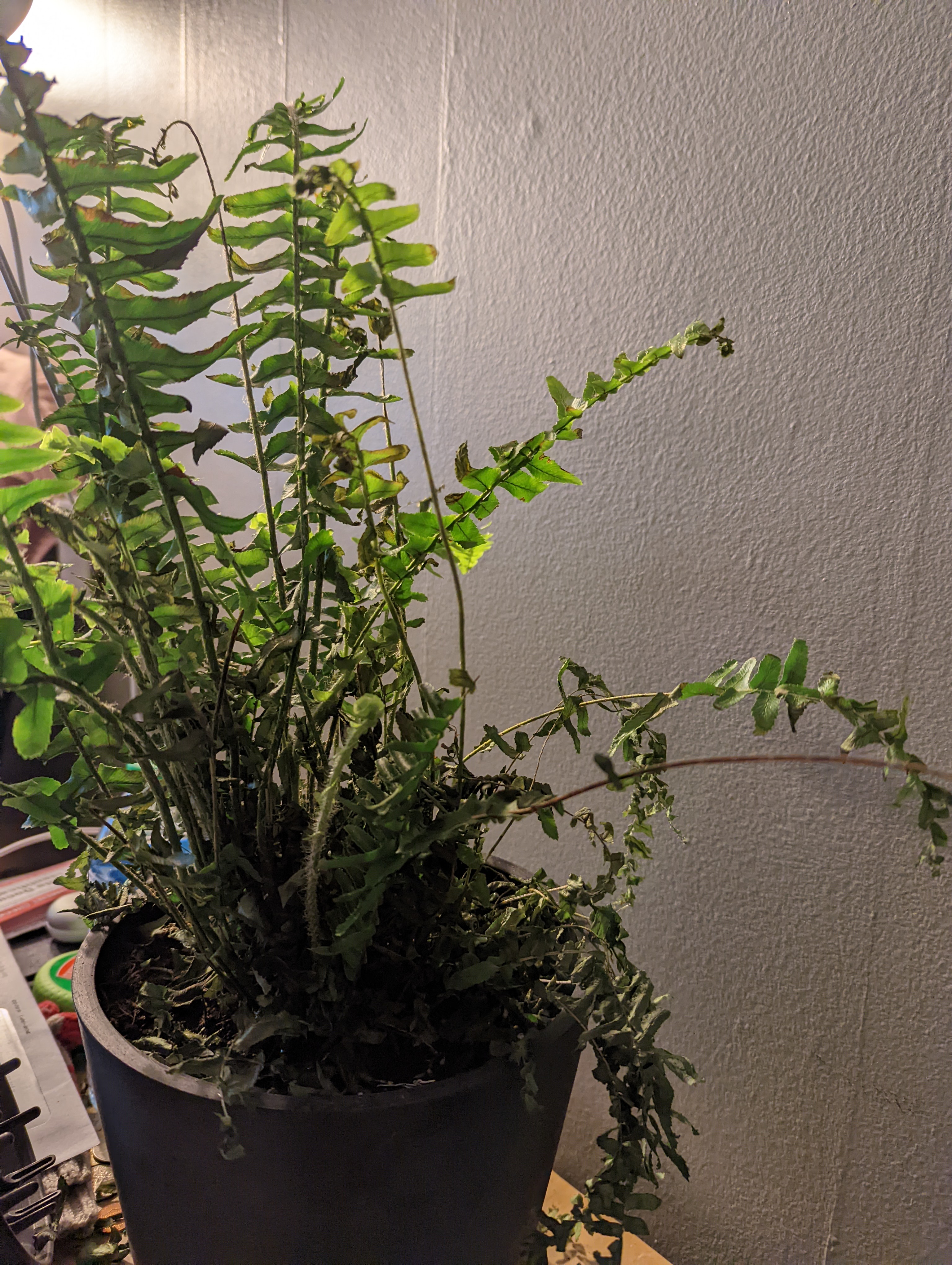 Photo from the post