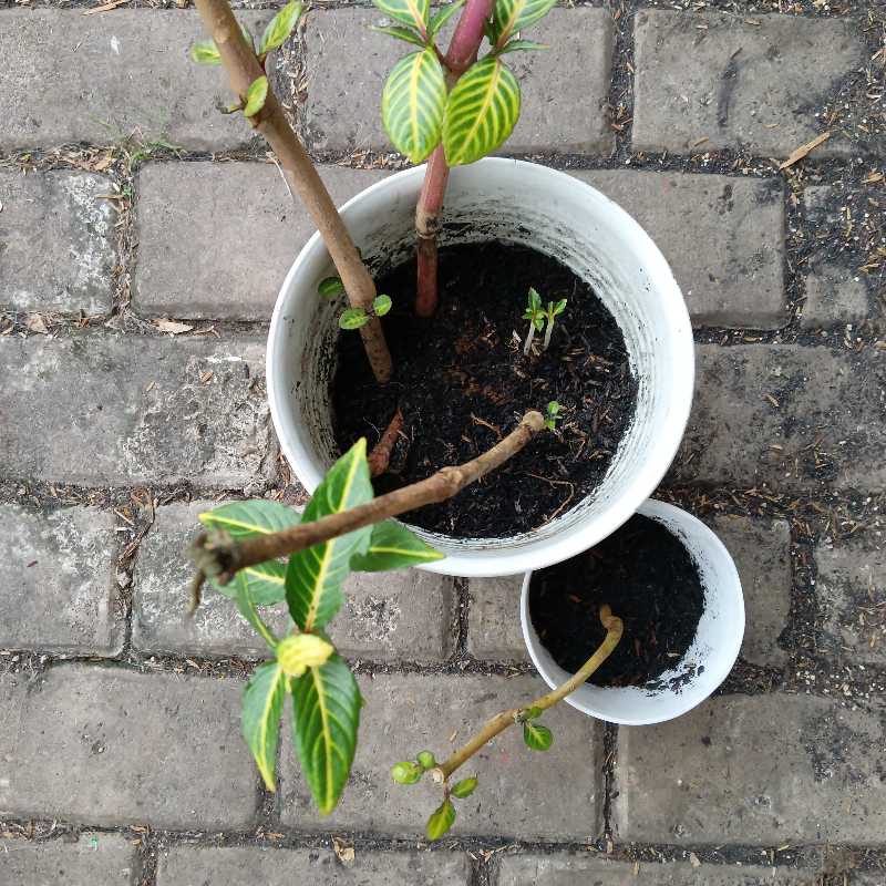 Photo from the post