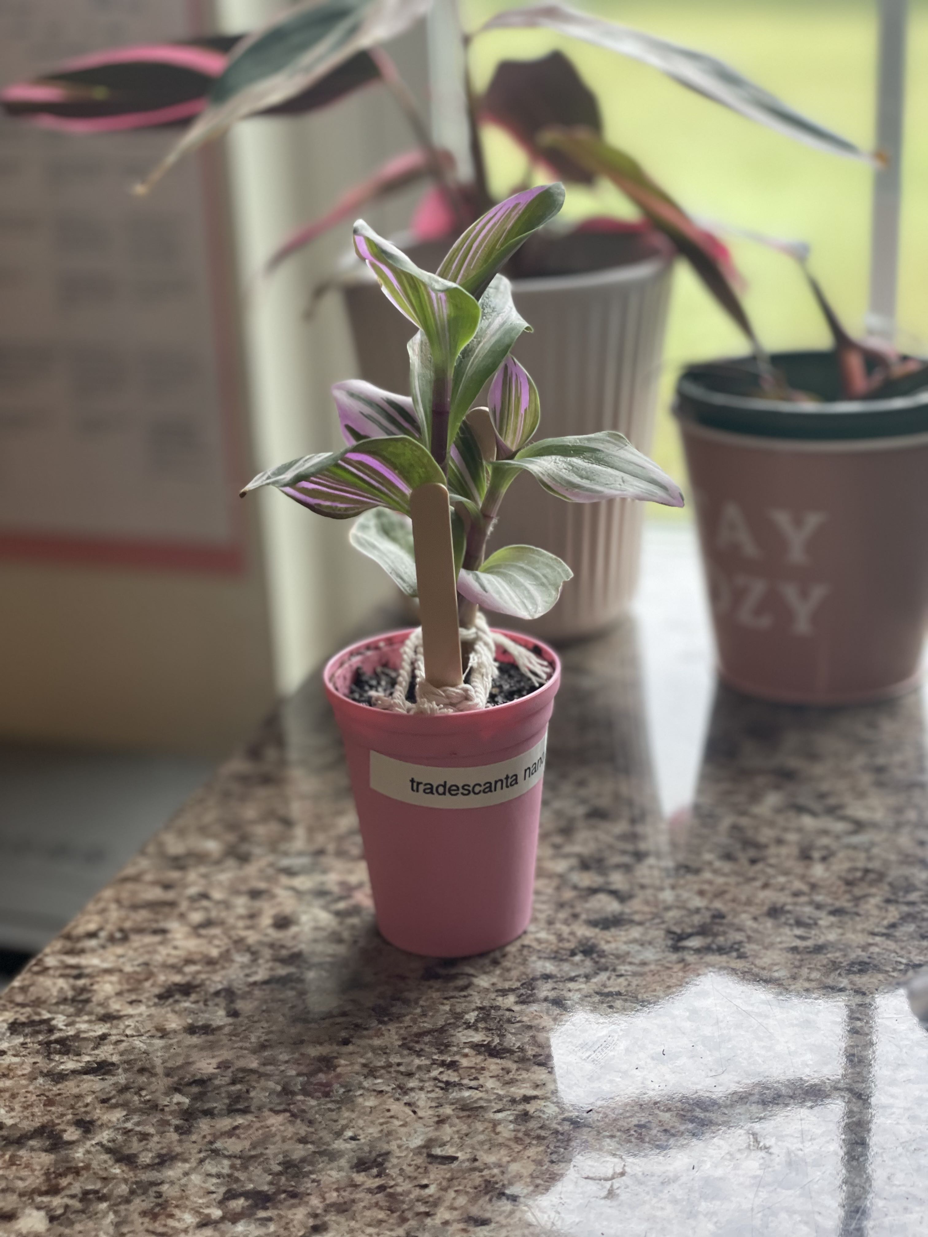 Photo from the post