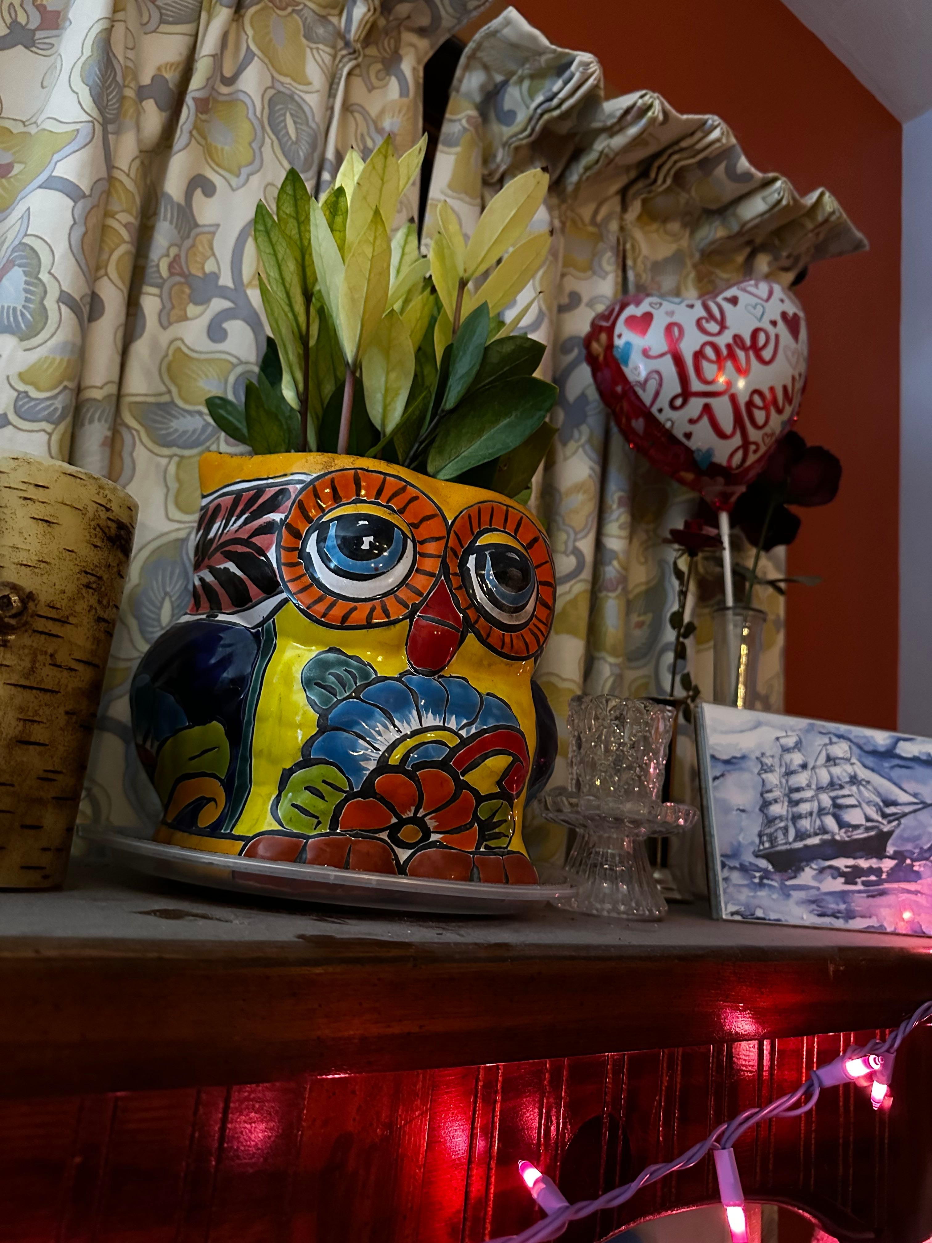 Keep Your Chameleon ZZ Plant Alive: Light, Water & Care Instructions