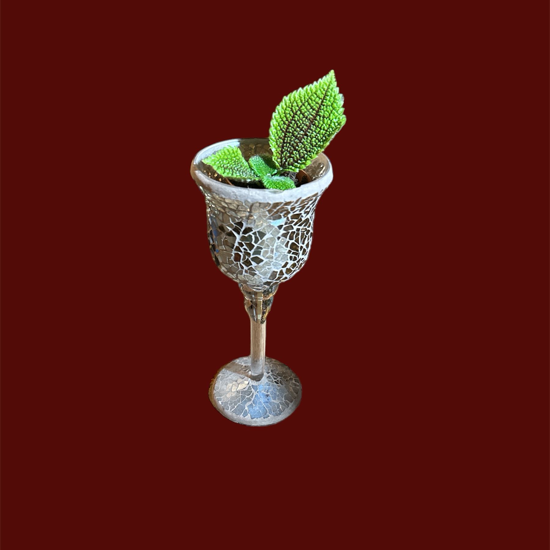Pilea 'Moon Valley' plant in a decorative mosaic-patterned goblet against a solid background.