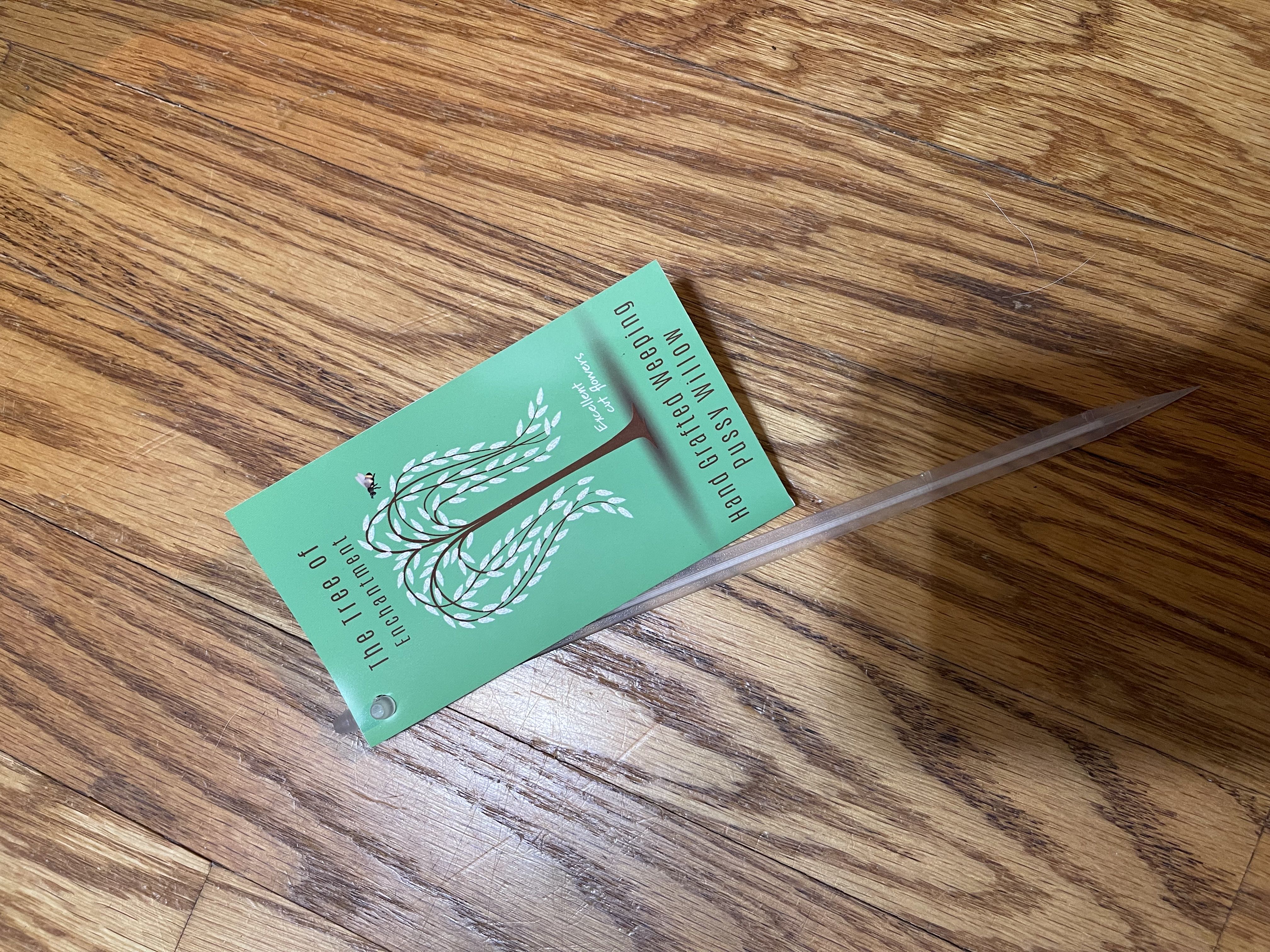 Photo from the post