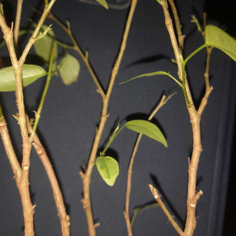 Photo from the post