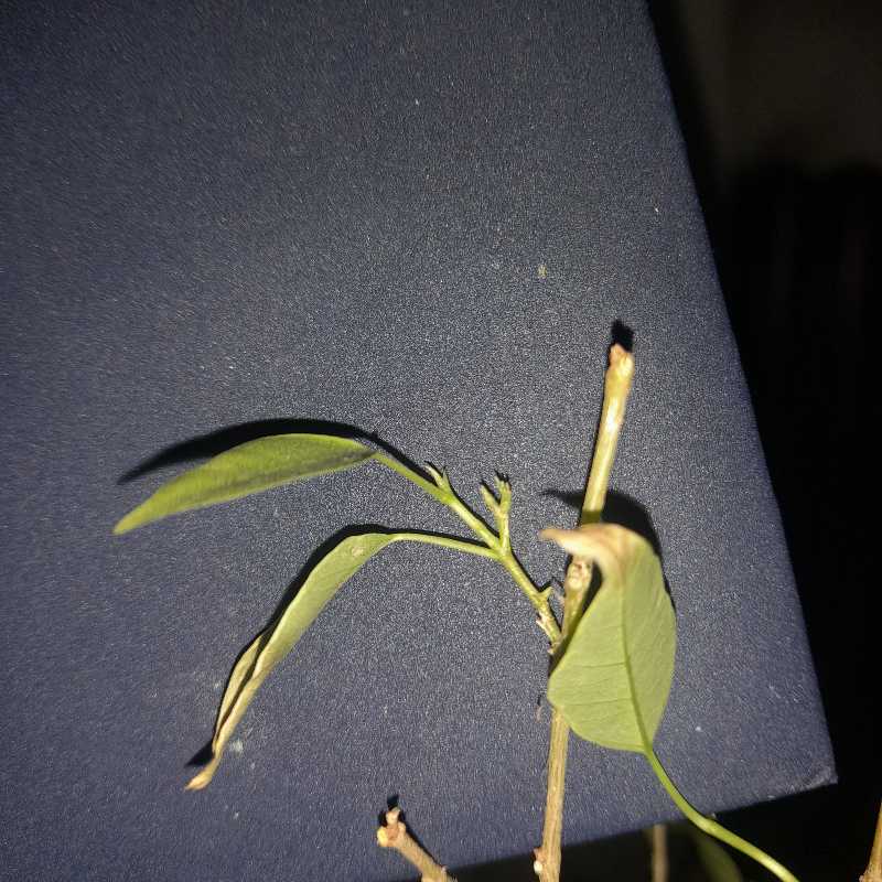 Photo from the post