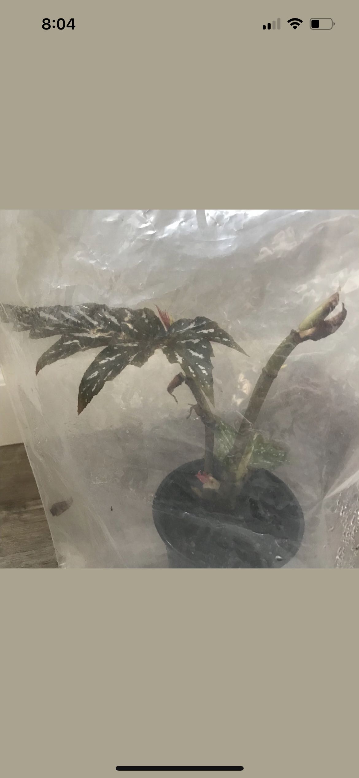 Photo from the post