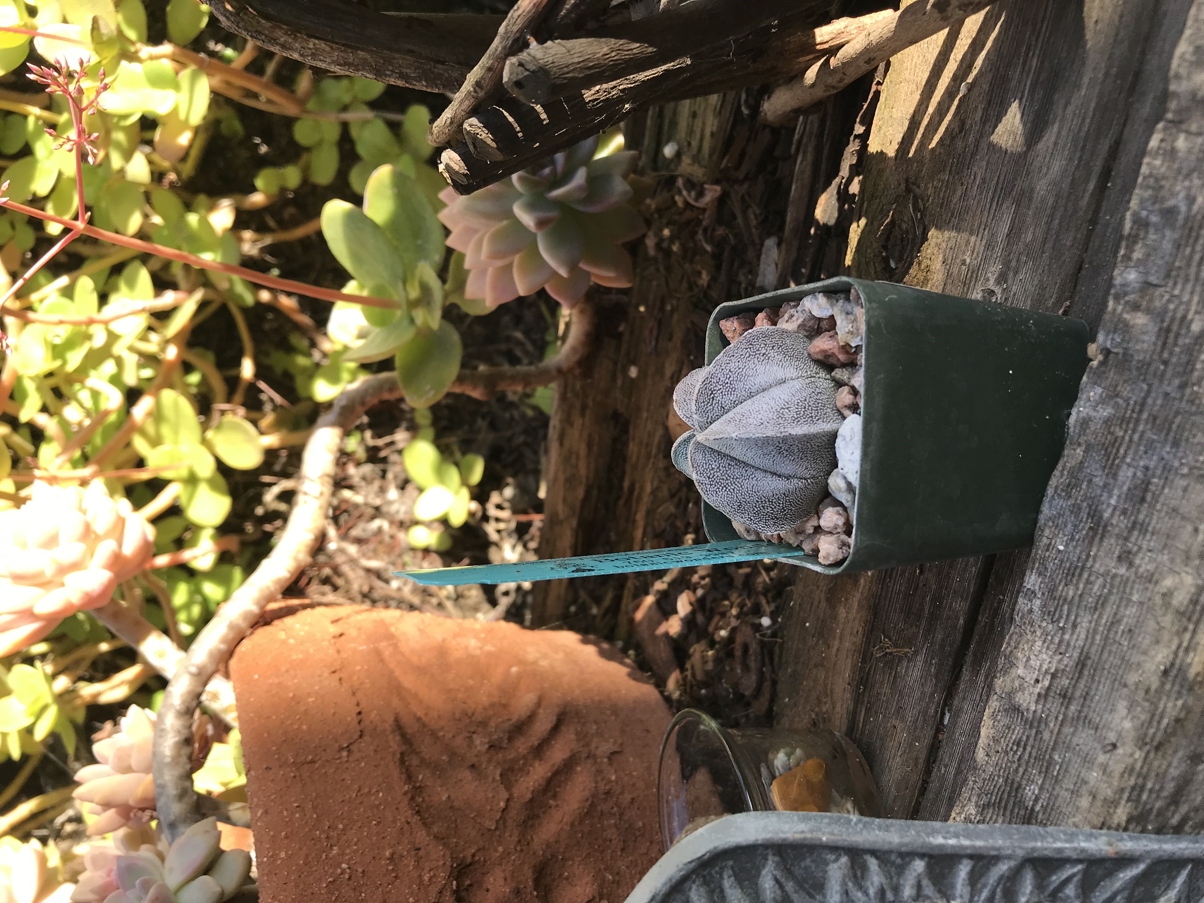 Photo from the post