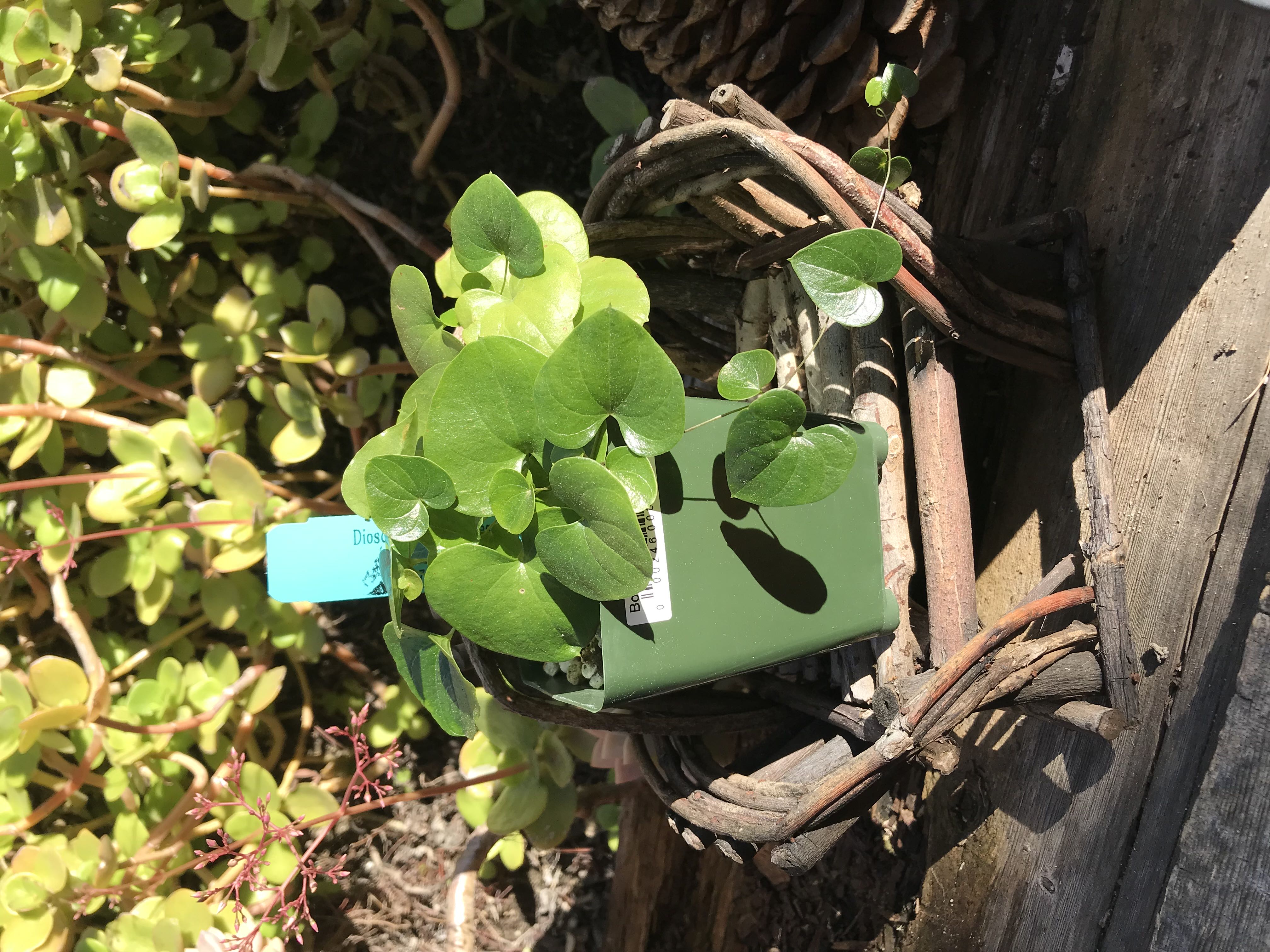 Photo from the post