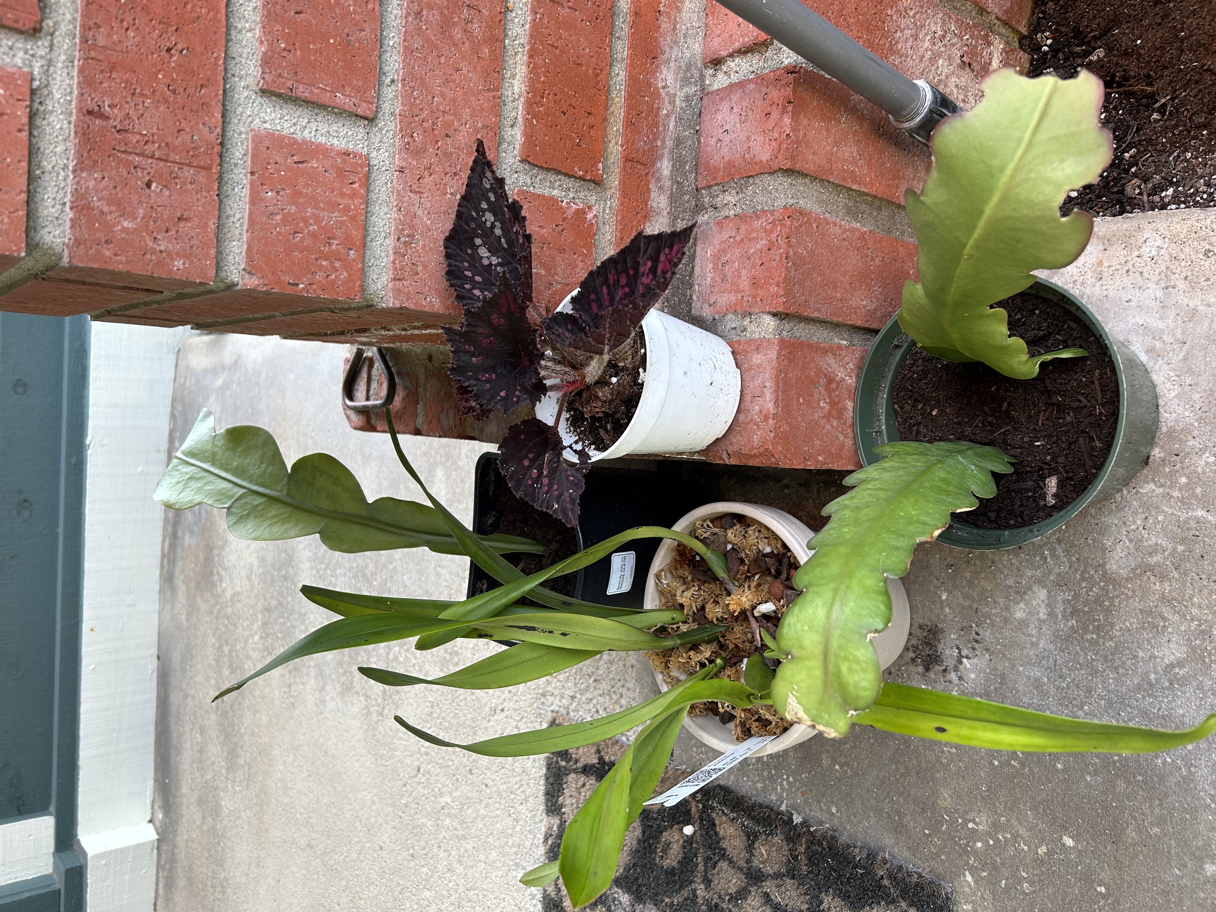 Photo from the post