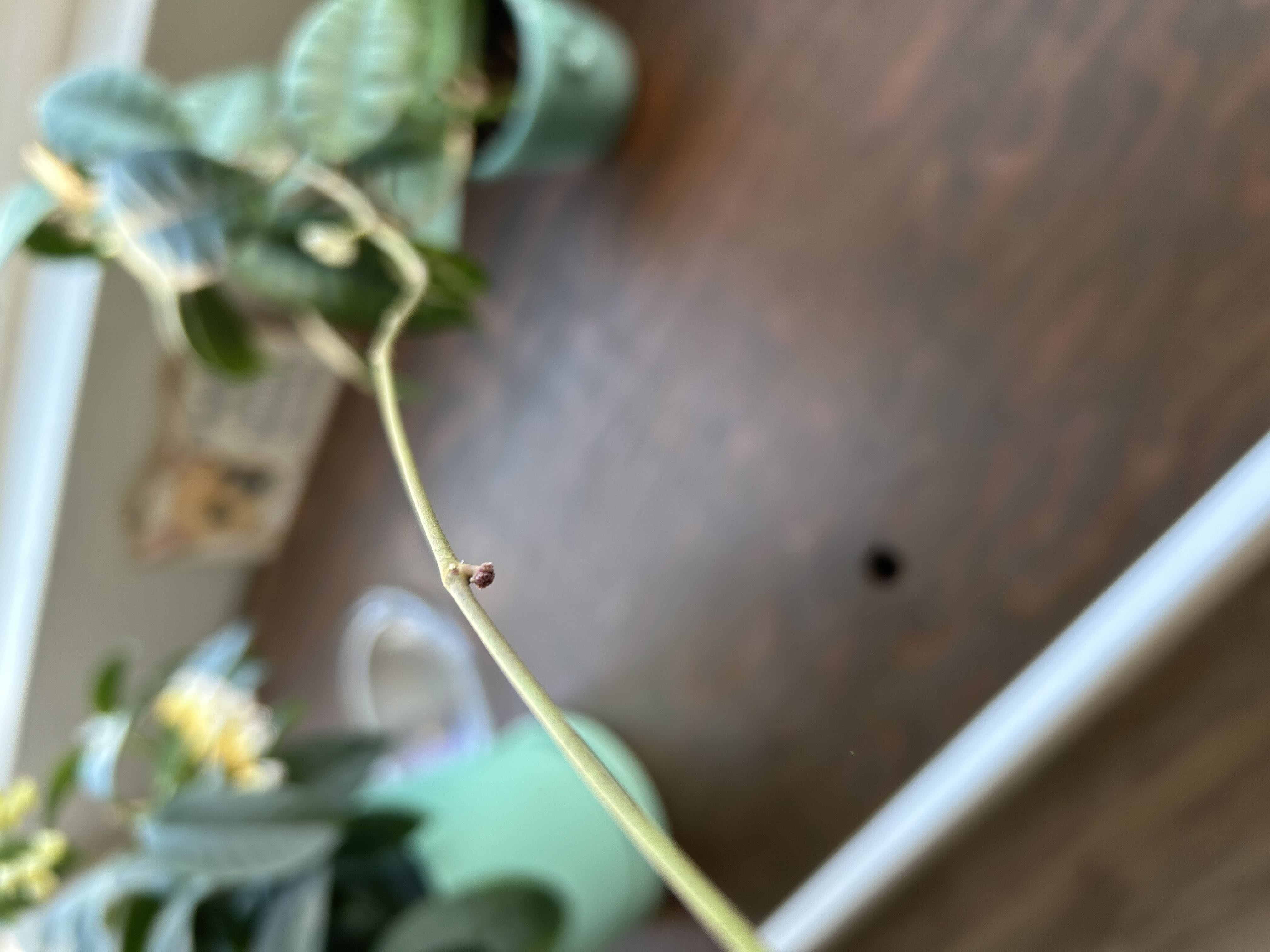 Photo from the post