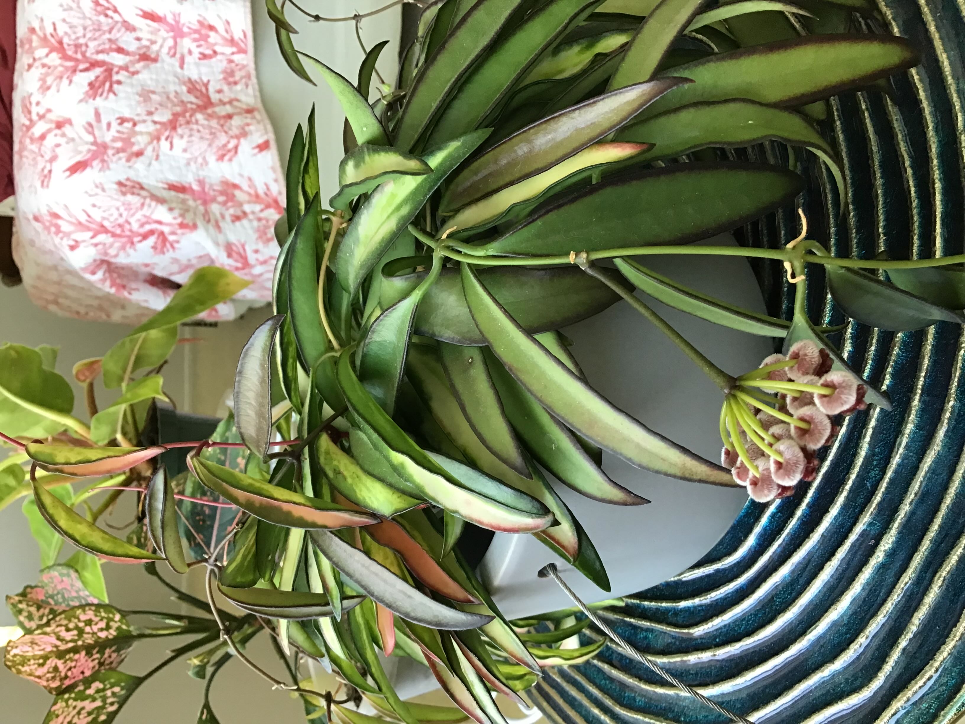 Photo from the post