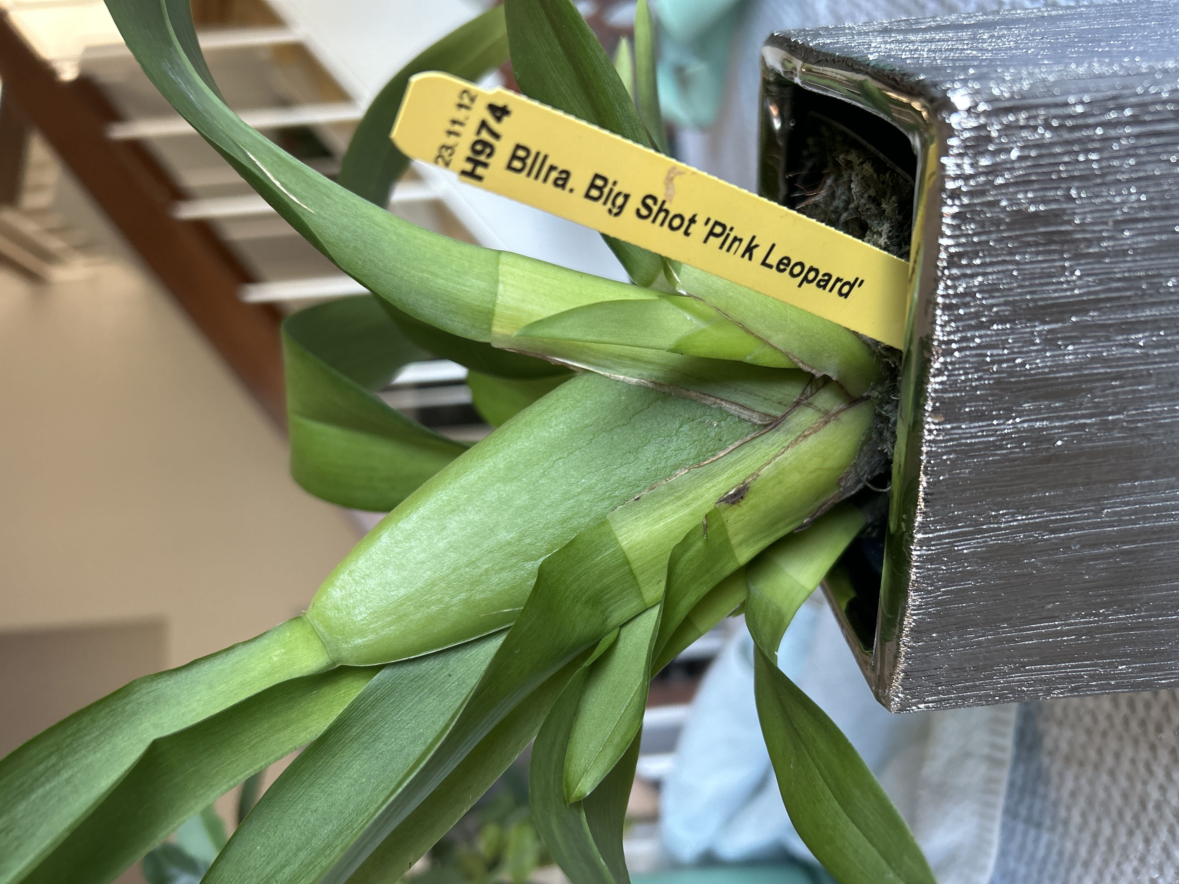 Photo from the post