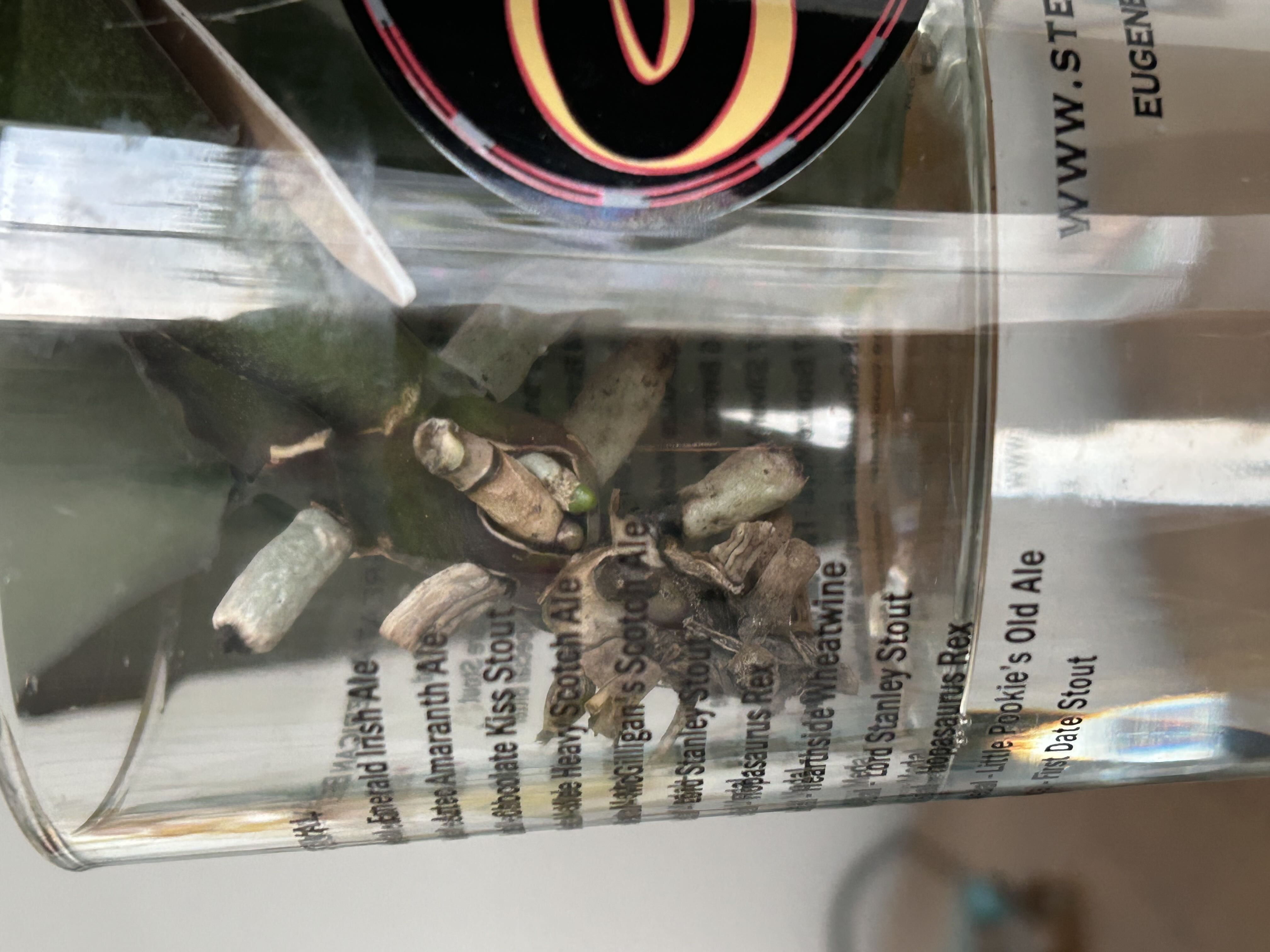 Photo from the post