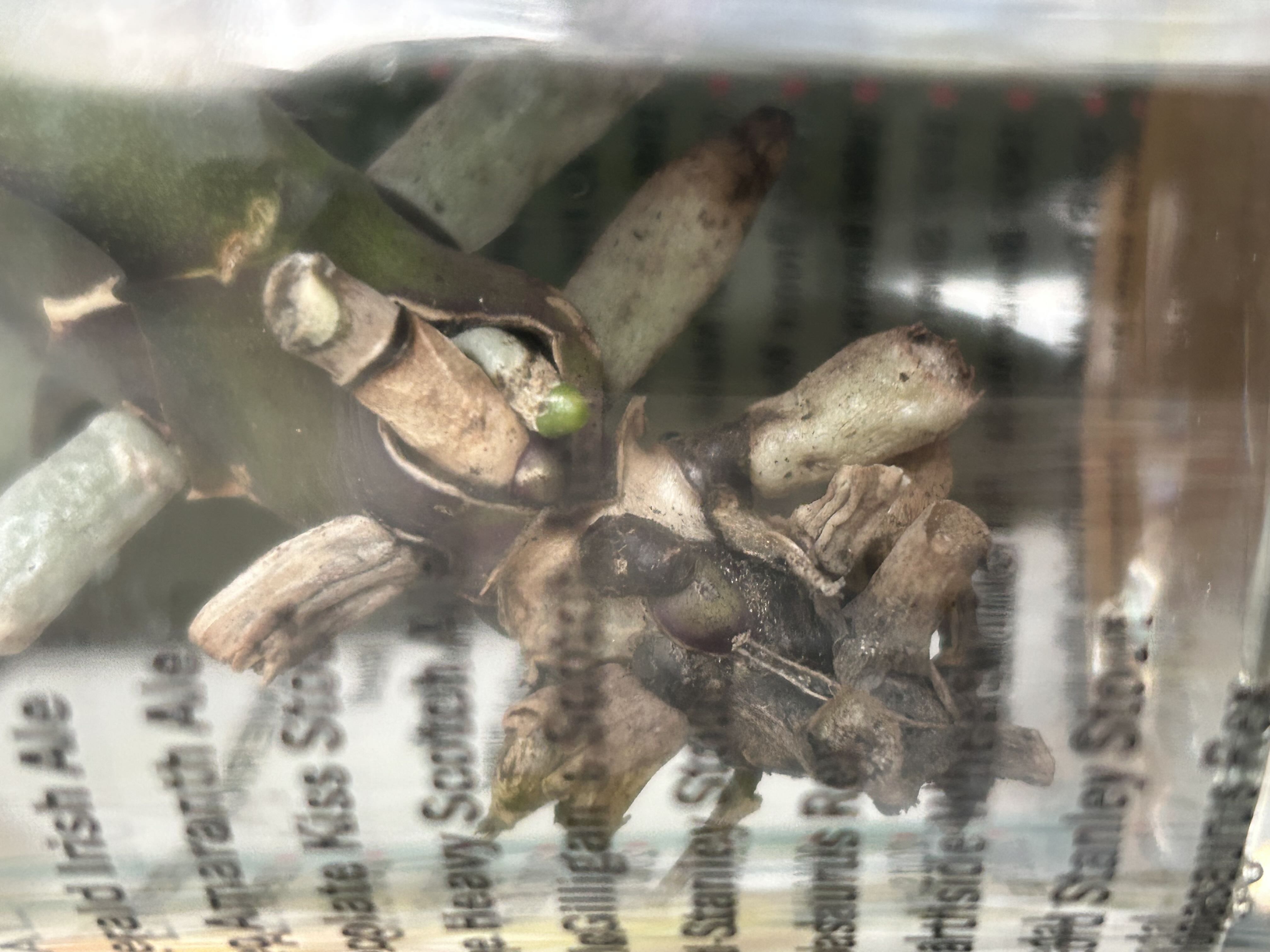 Photo from the post