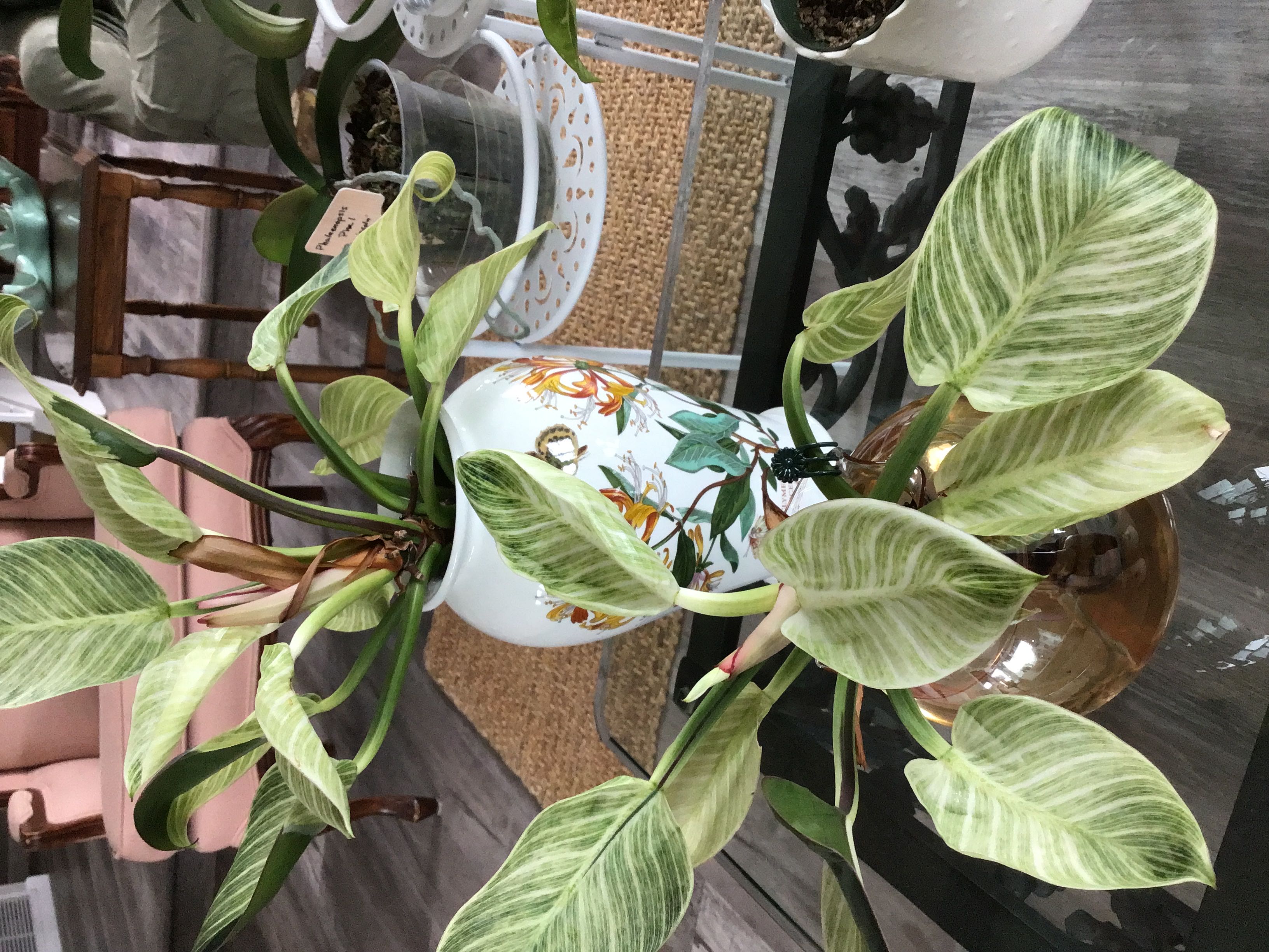 Photo from the post