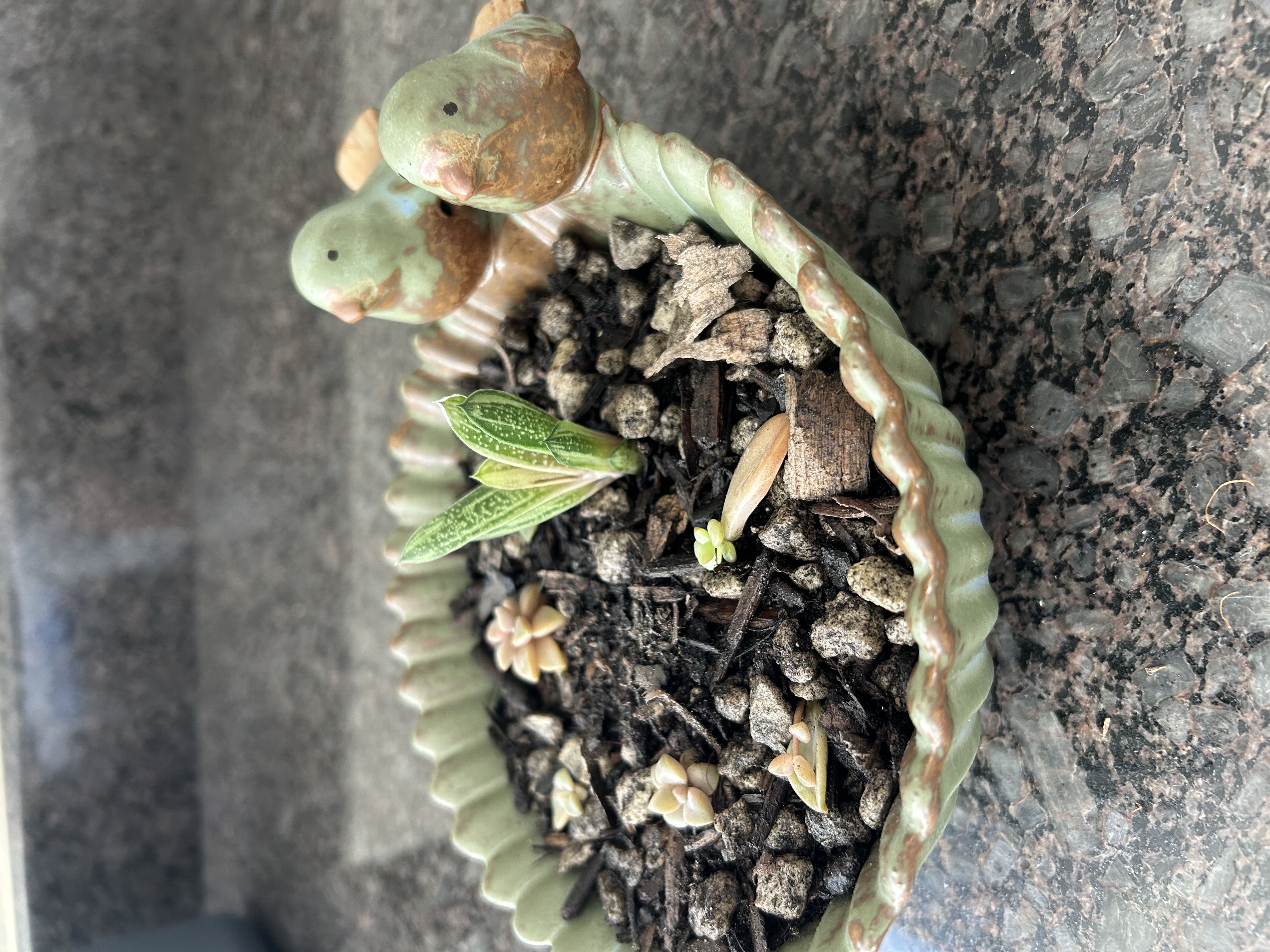 Photo from the post