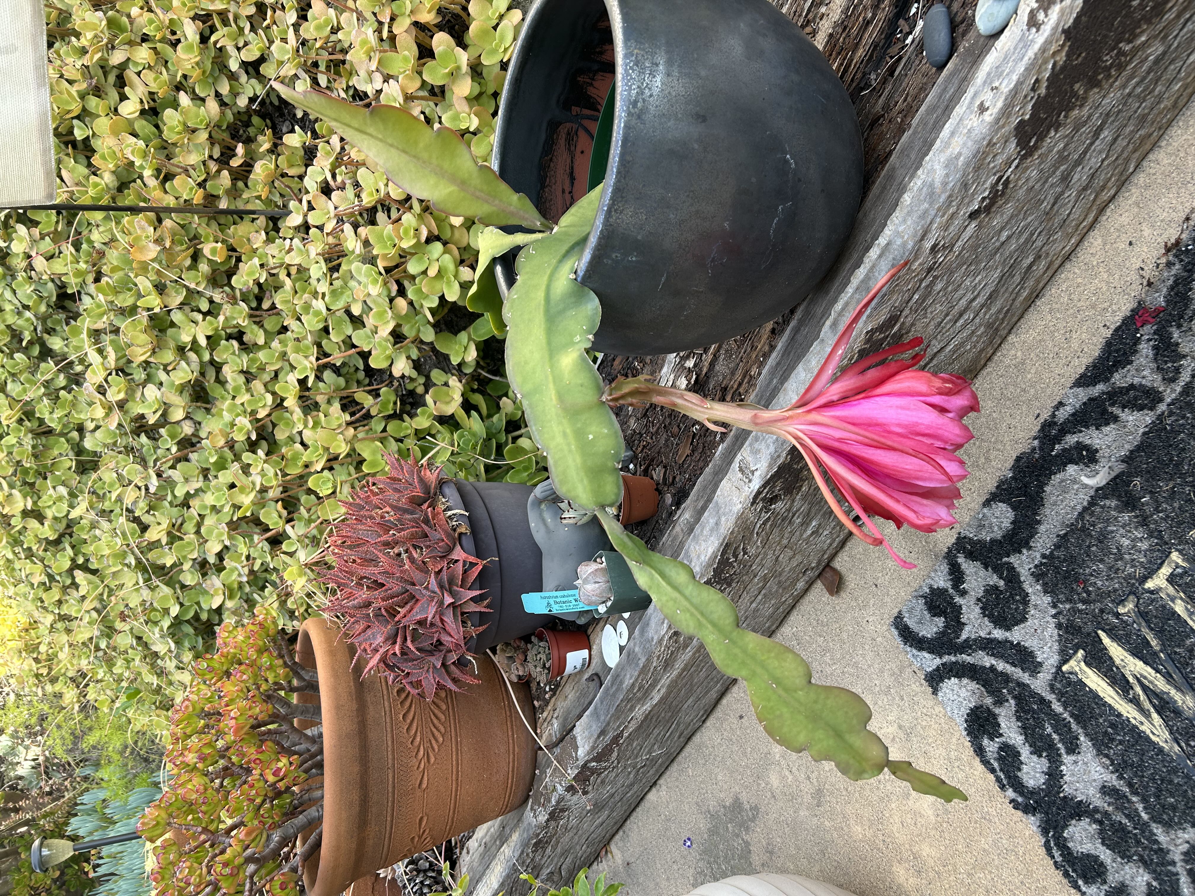 Photo from the post