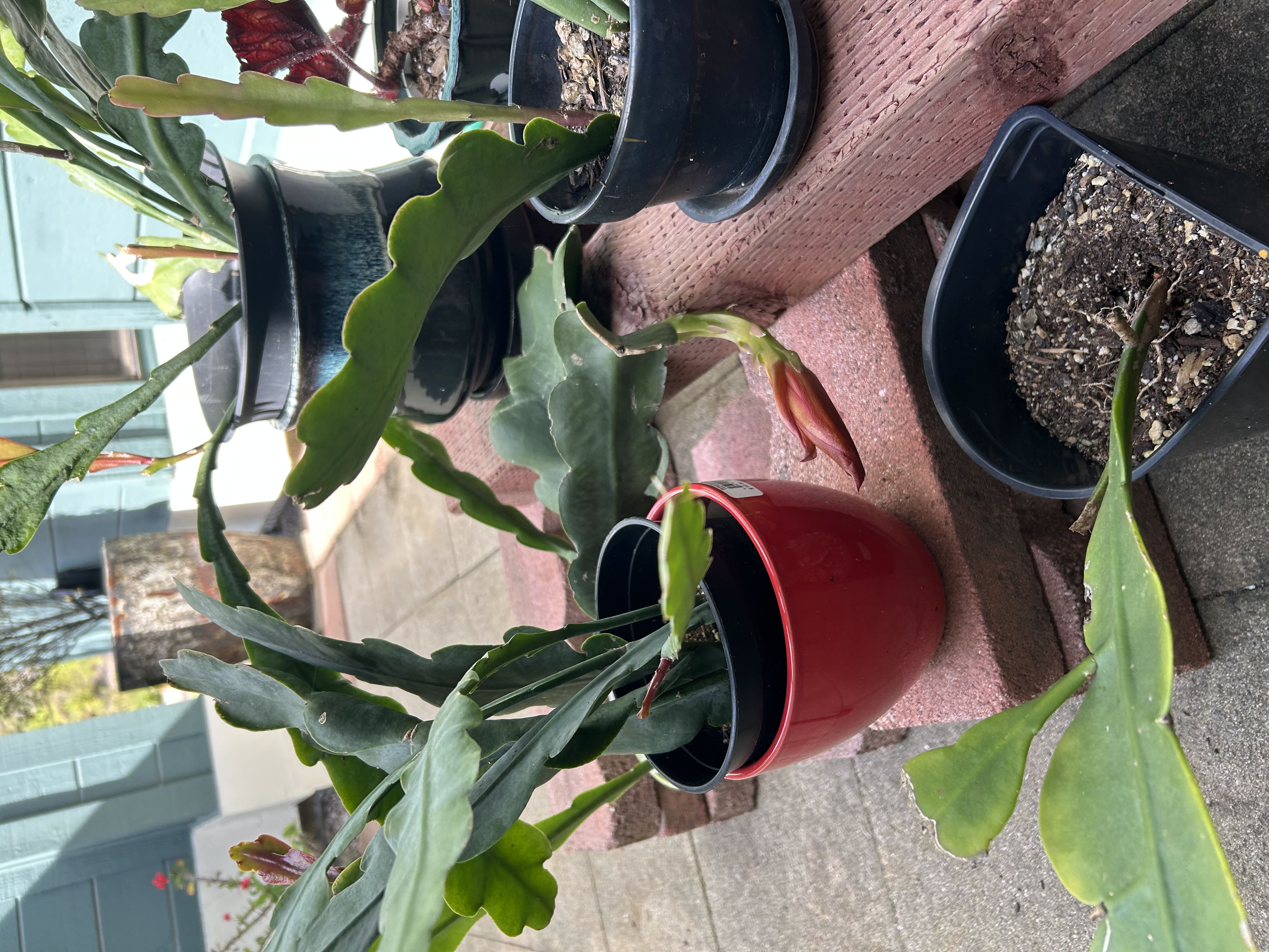 Photo from the post