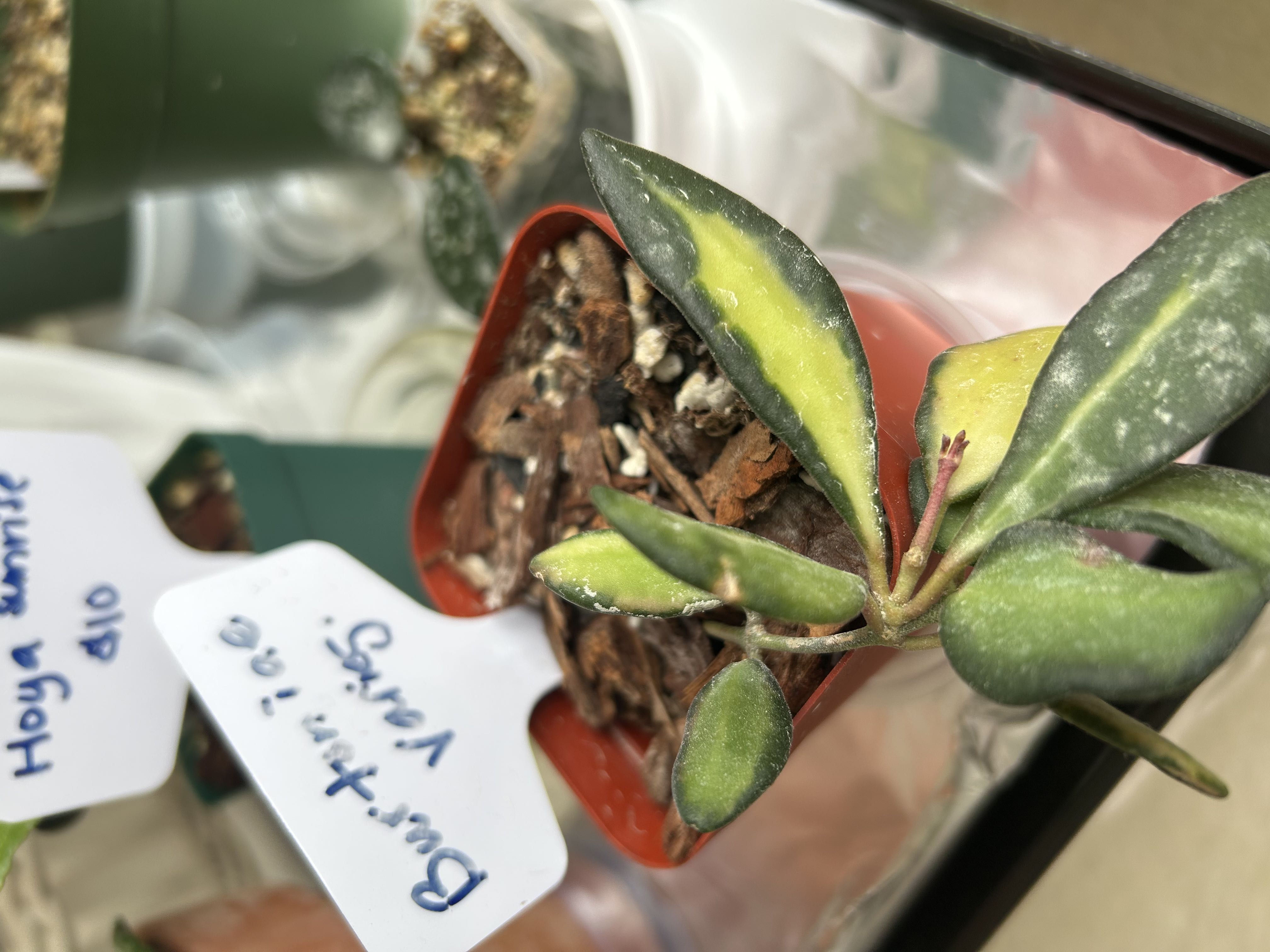 Photo from the post