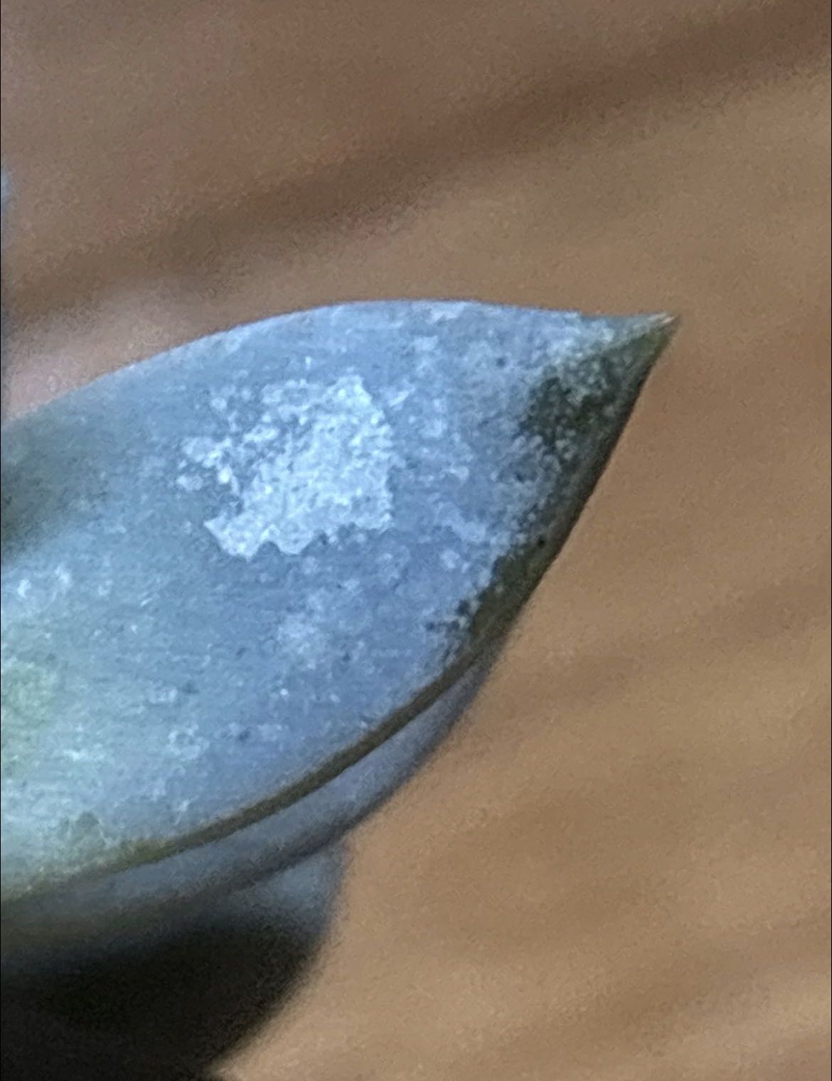 Photo from the post