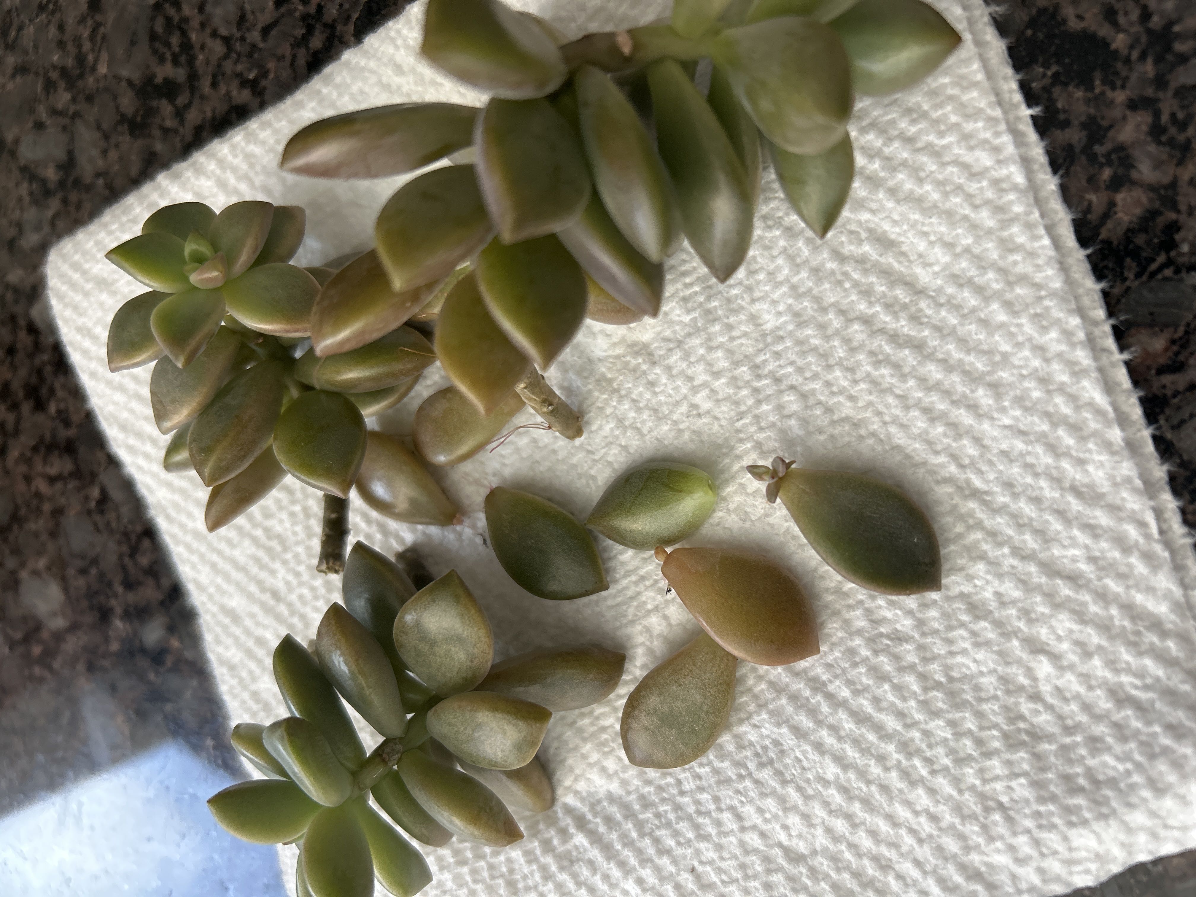 Photo from the post