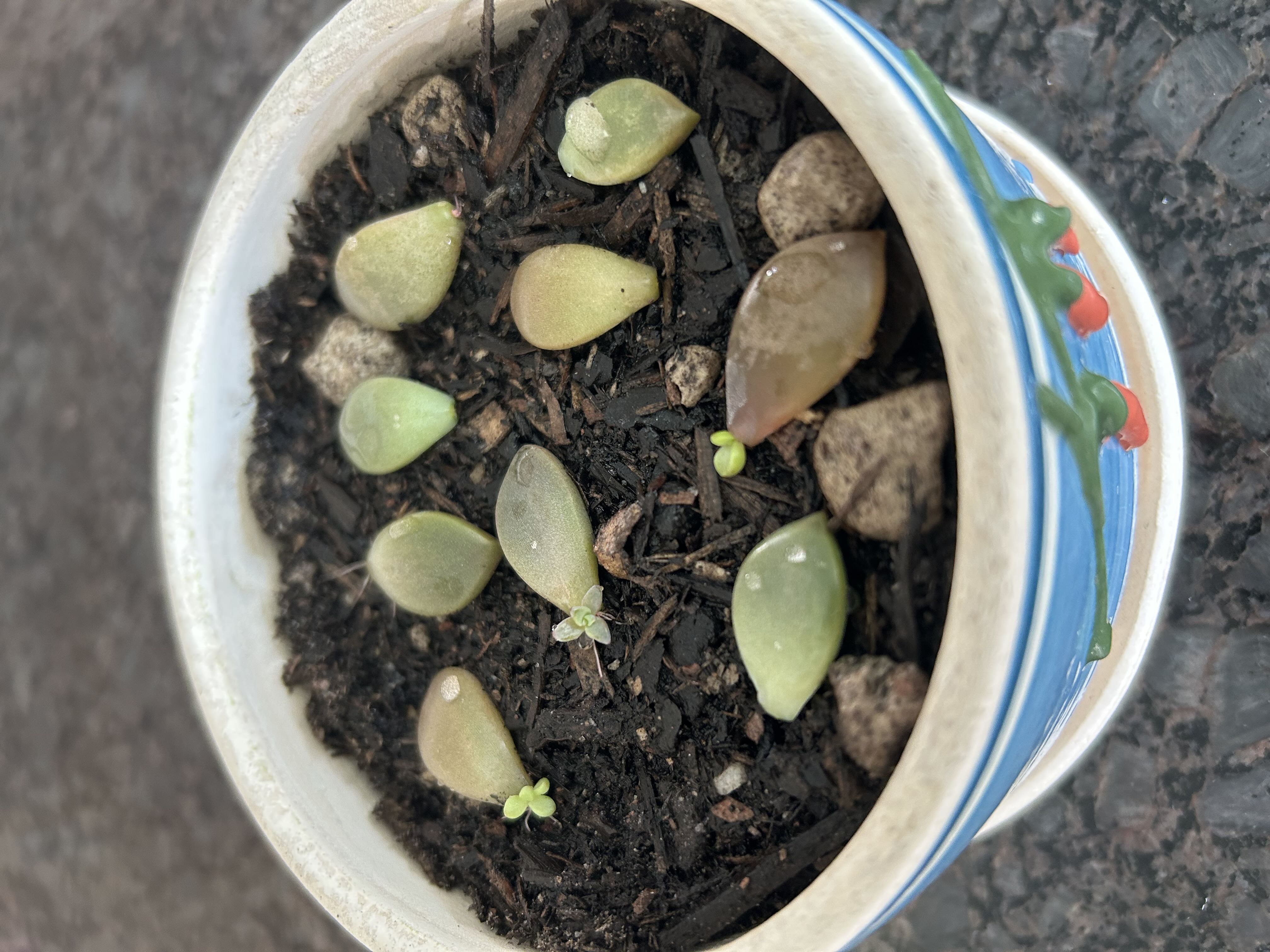 Photo from the post