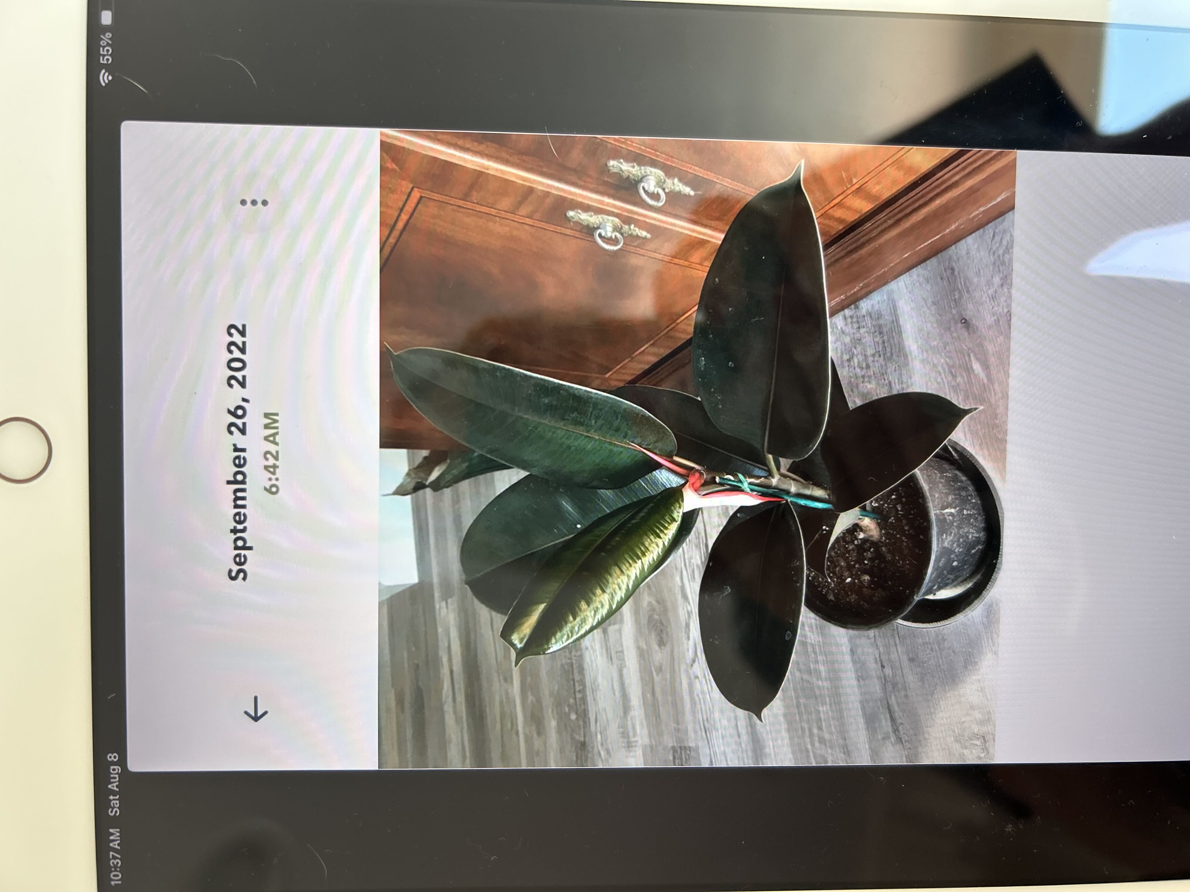 Photo from the post