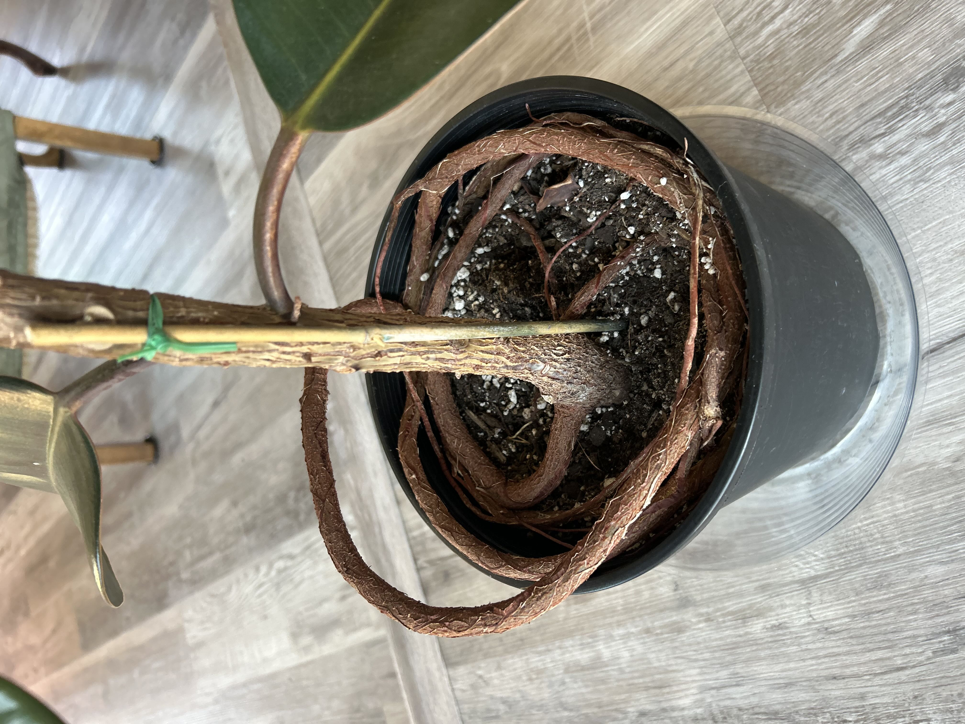 Photo from the post