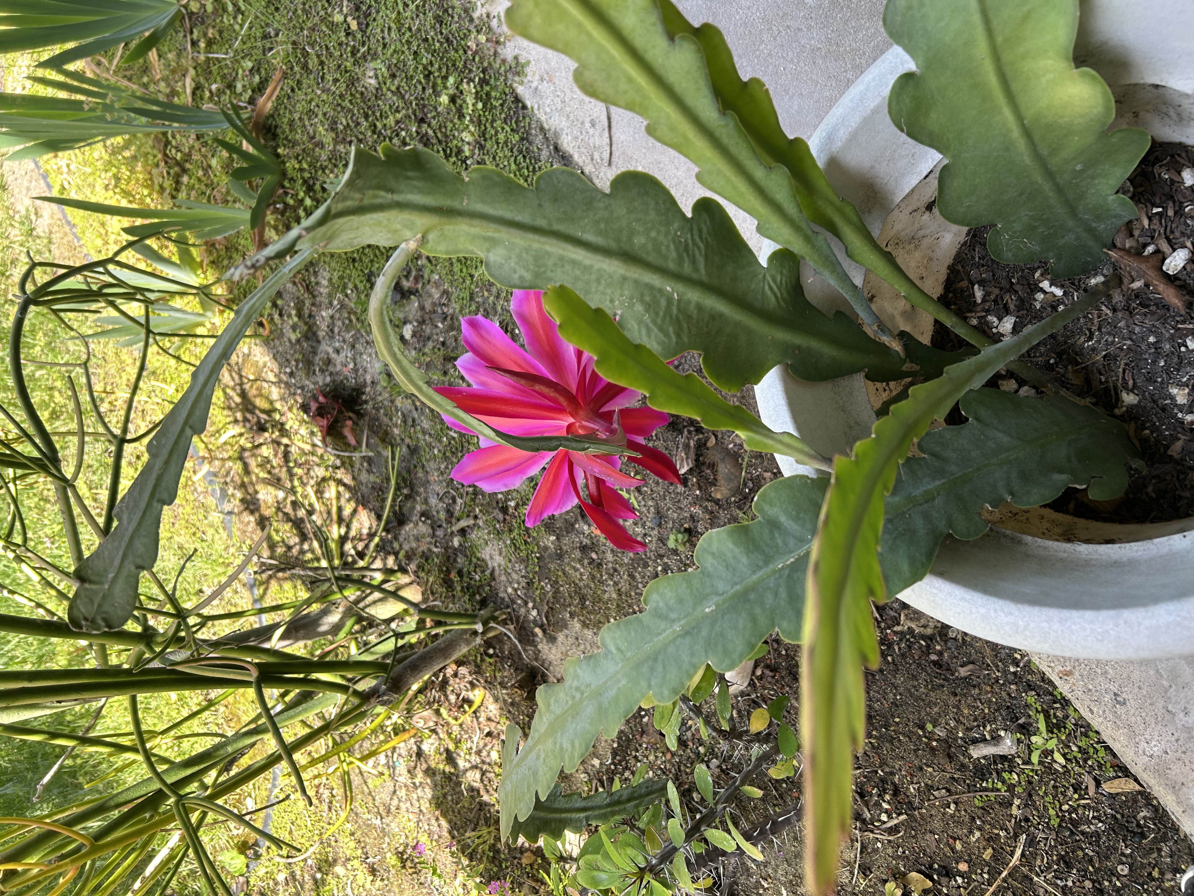 Photo from the post