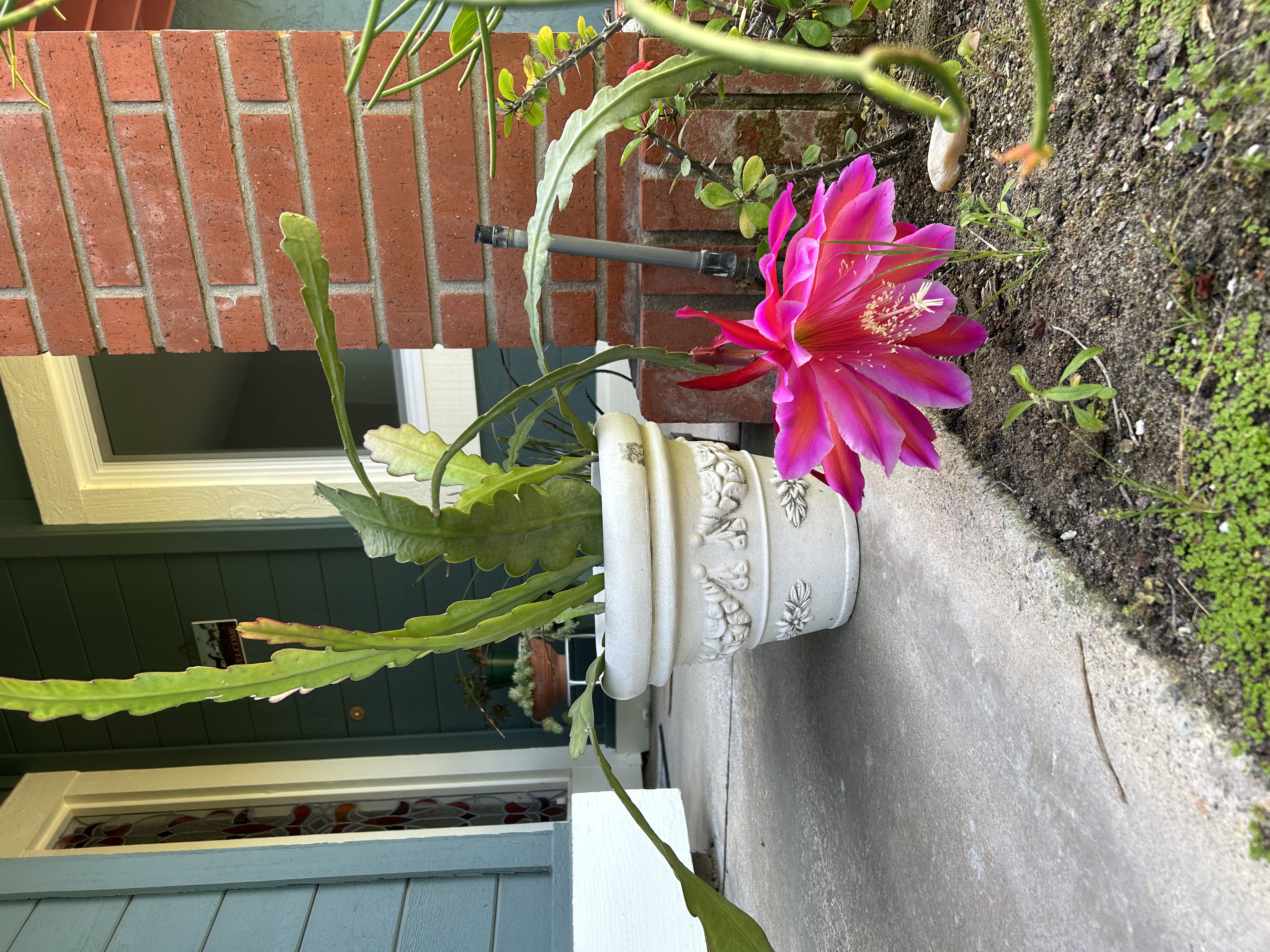 Photo from the post