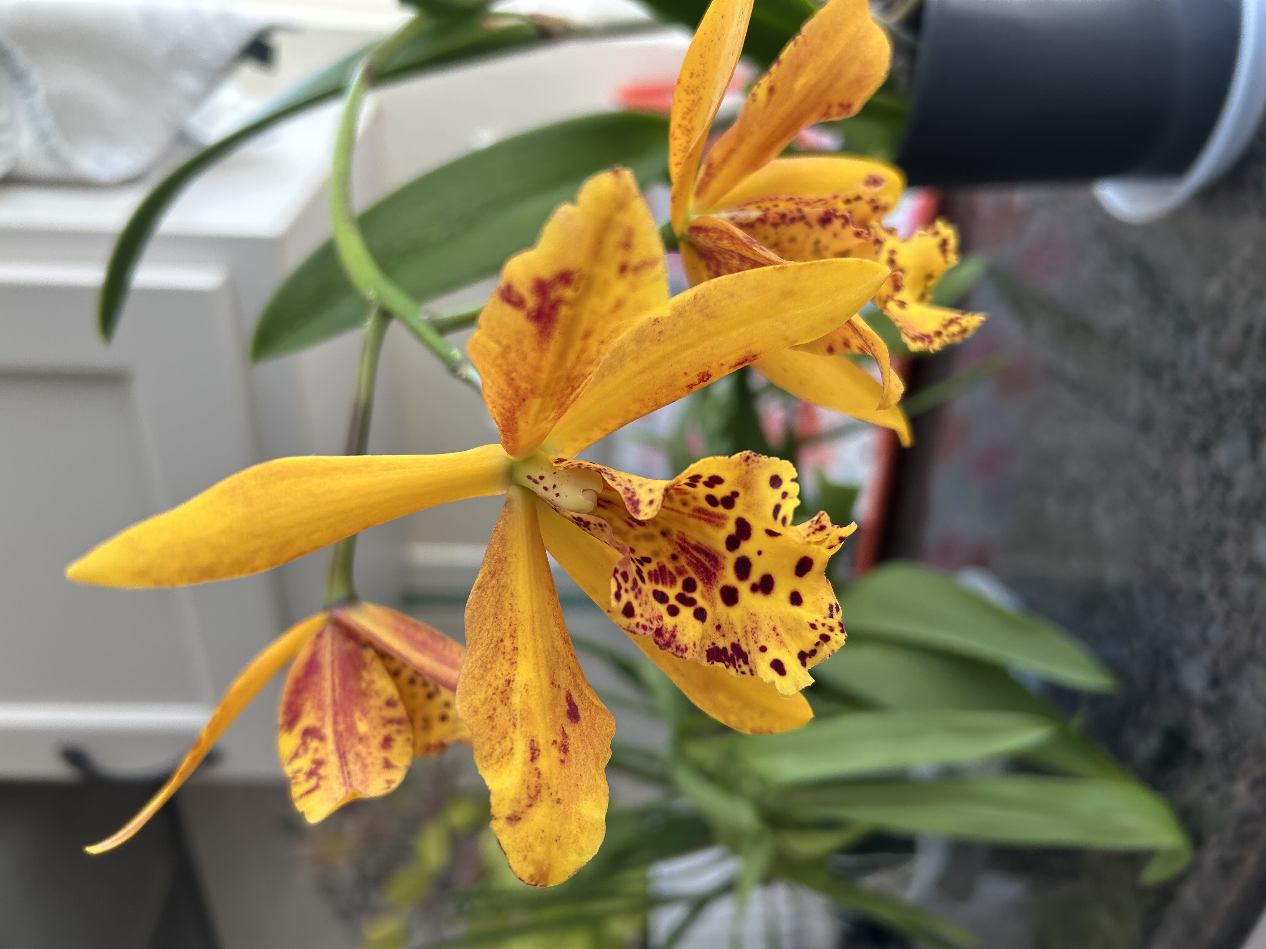 Photo from the post
