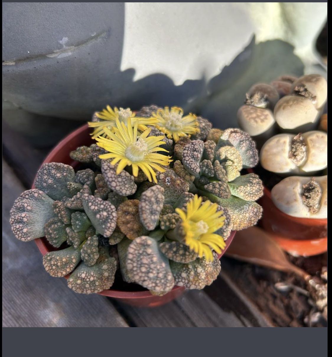 Photo from the post