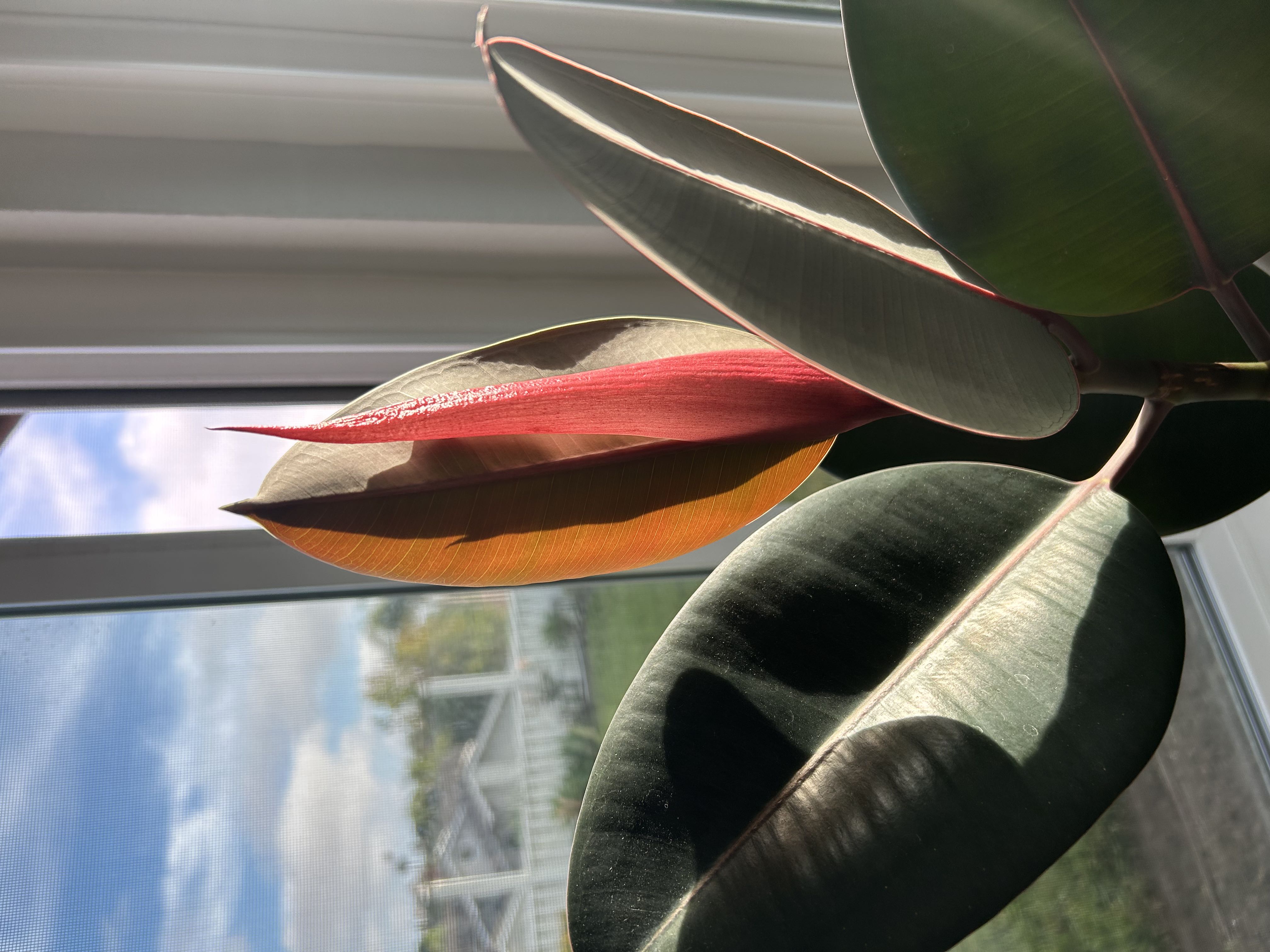 Photo from the post